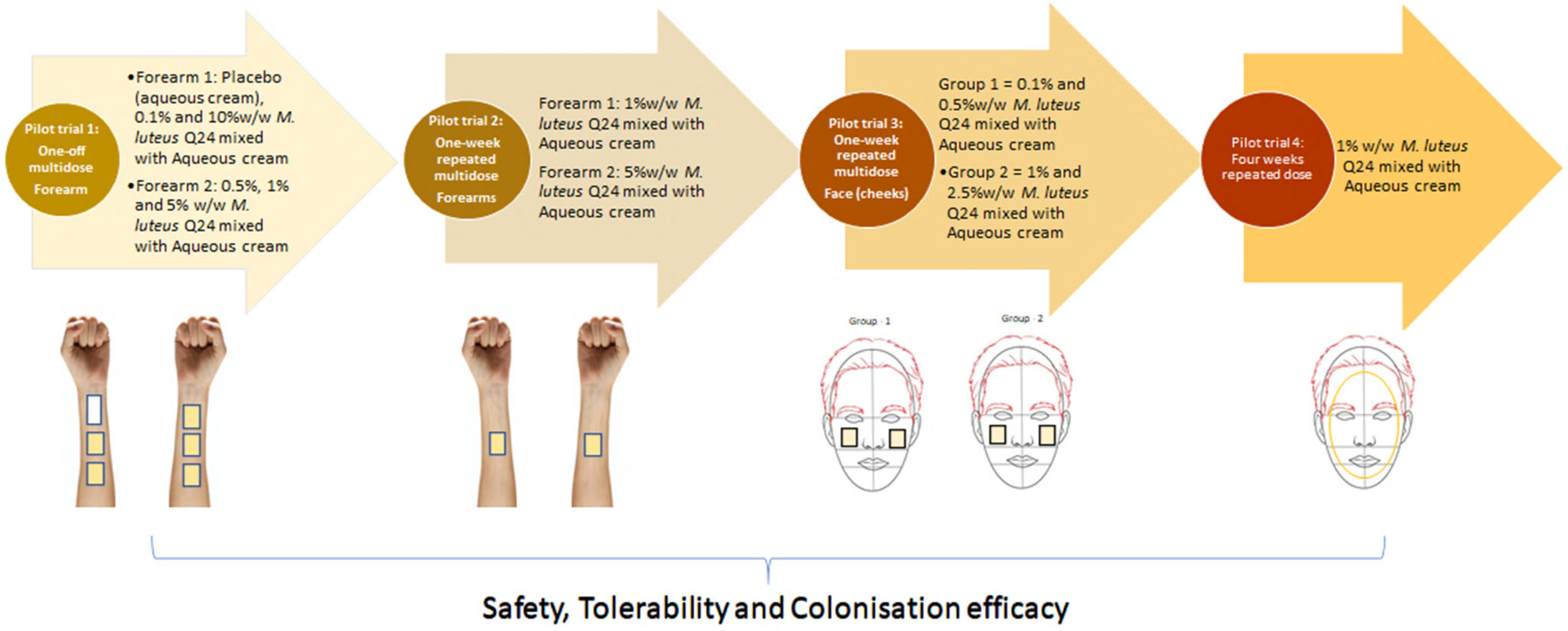 Cosmetics 09 00121 g001