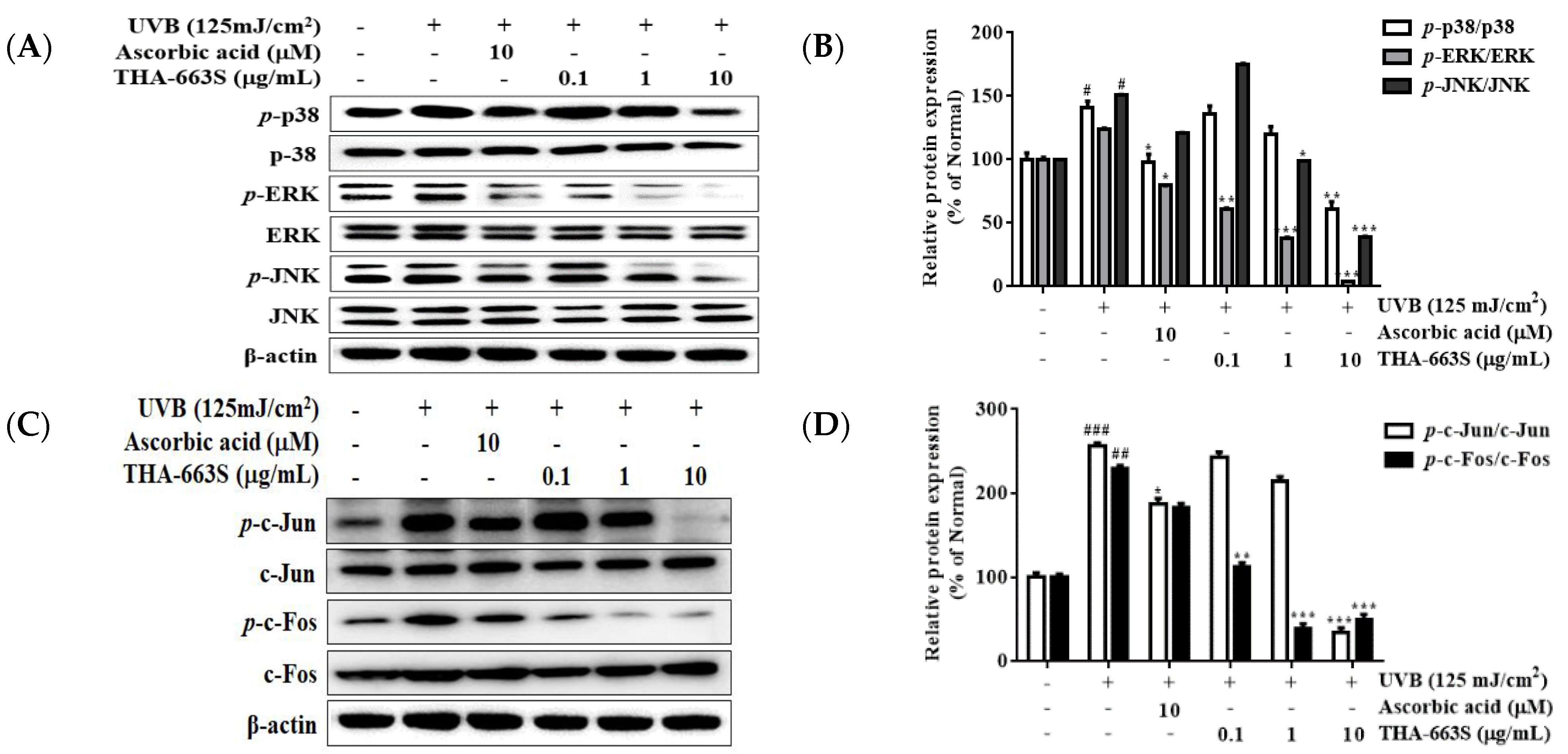 Cosmetics 09 00126 g006