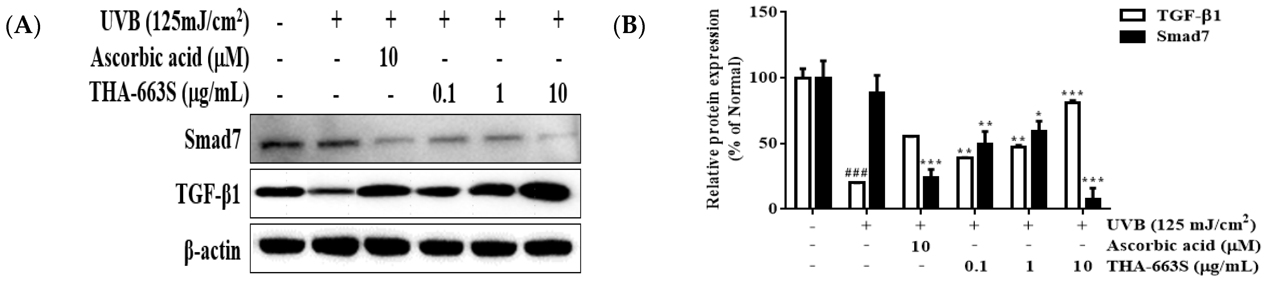 Cosmetics 09 00126 g007