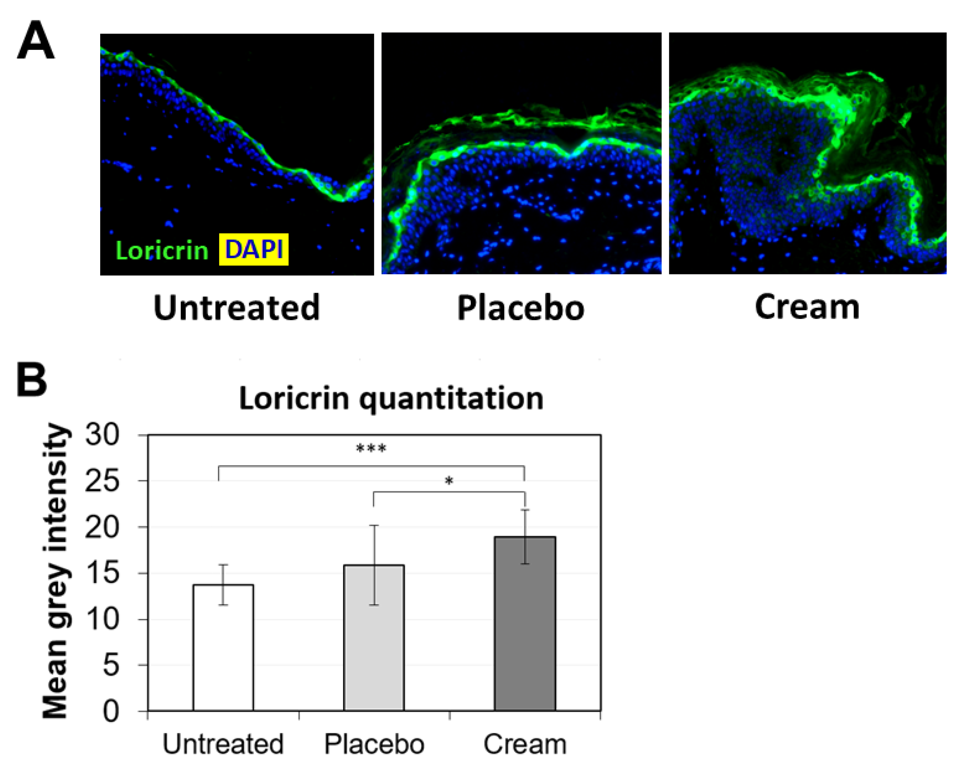Cosmetics 09 00138 g002