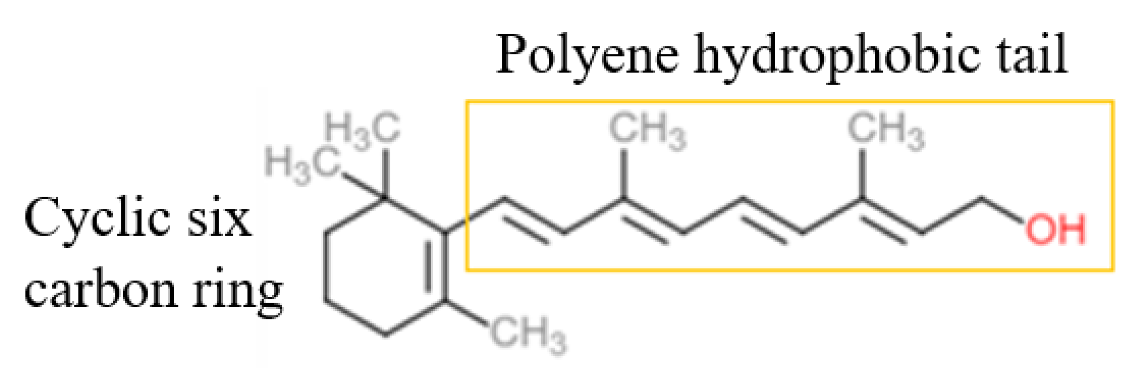 Cosmetics 09 00140 g001 Cosmetics 09 00140 g001