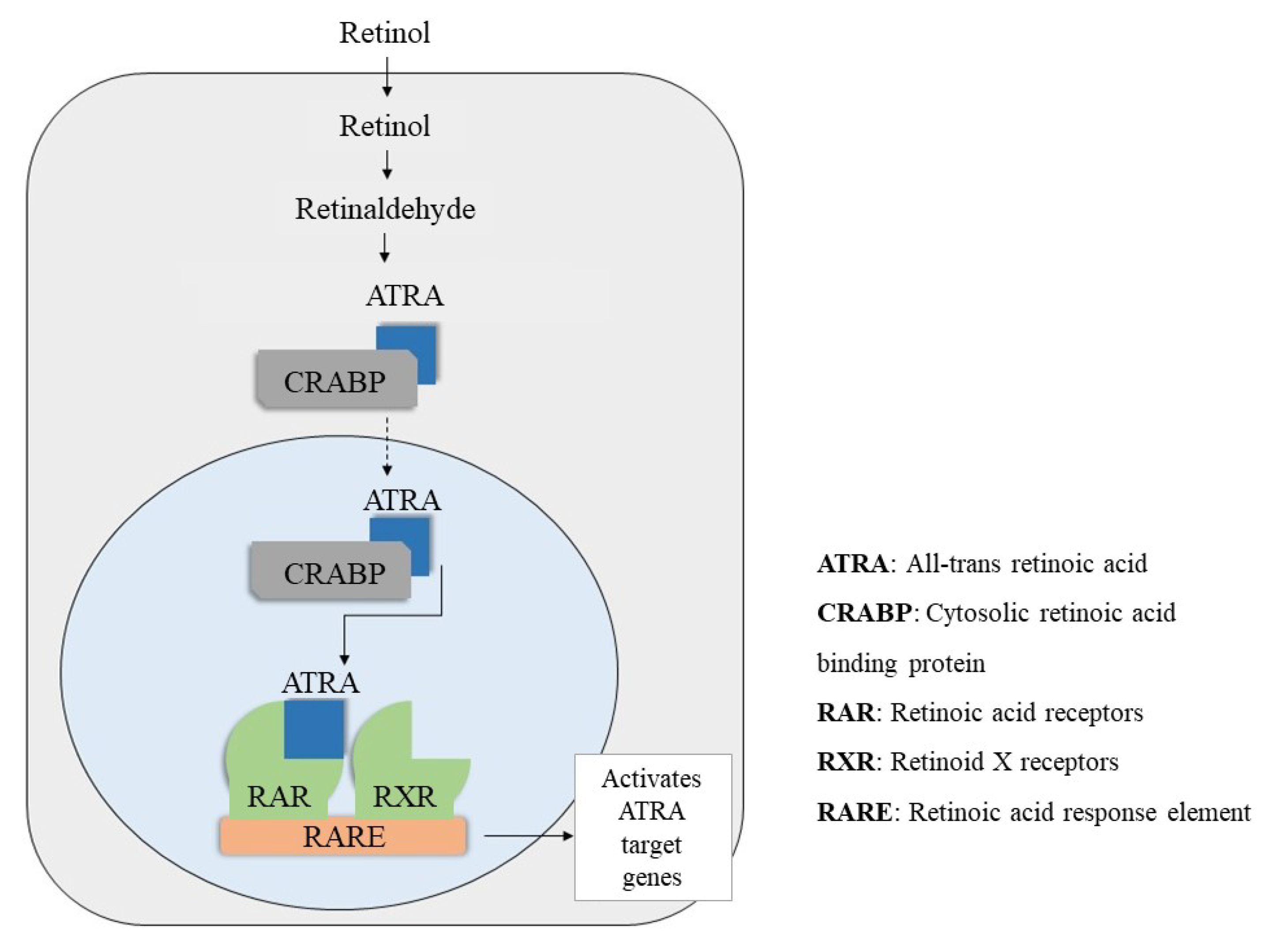 Cosmetics 09 00140 g002 Cosmetics 09 00140 g002