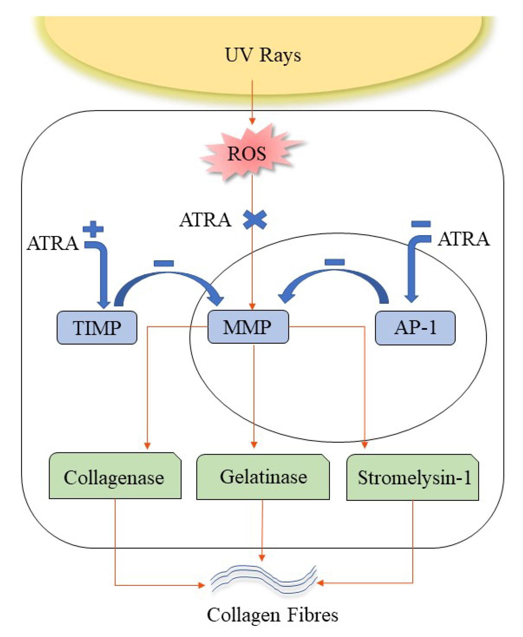 Cosmetics 09 00140 g004 Cosmetics 09 00140 g004