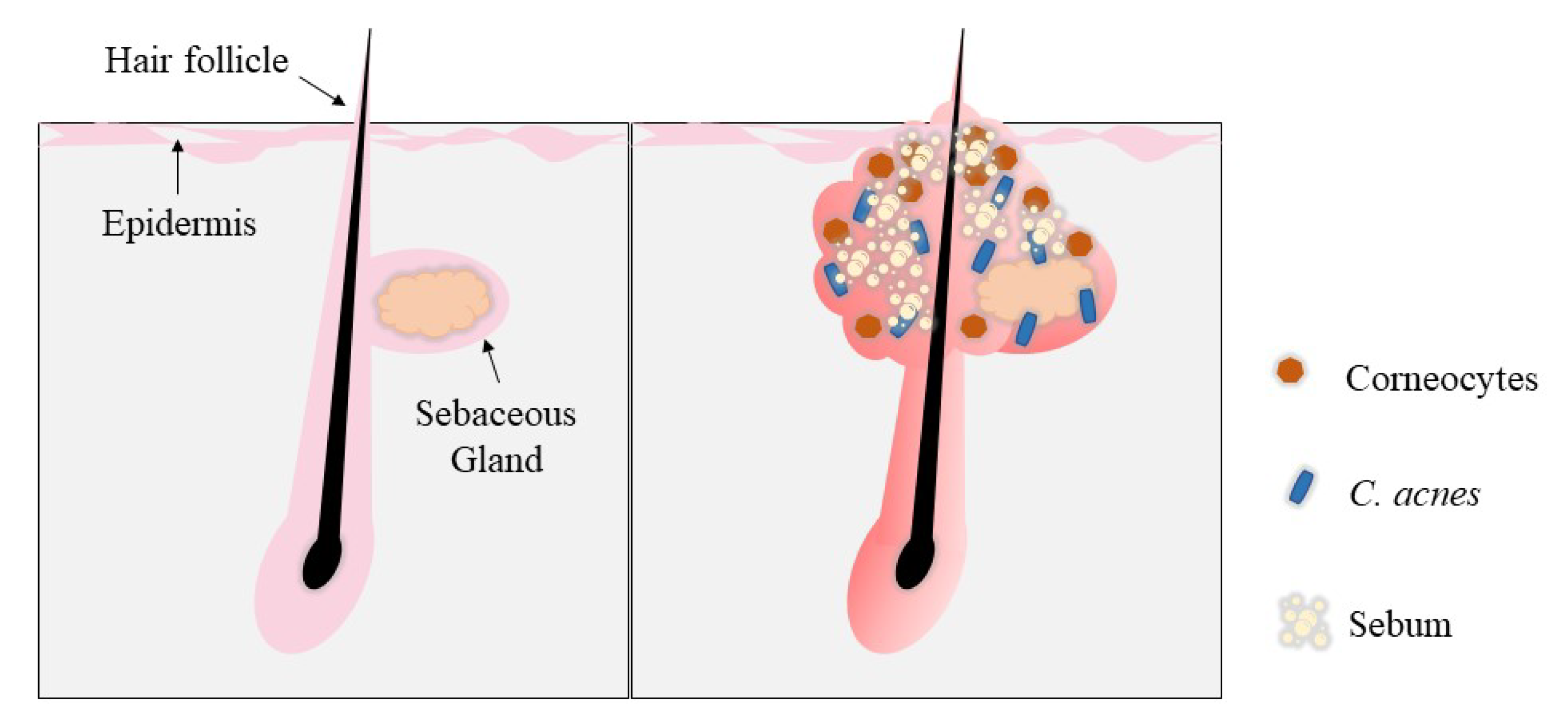 Cosmetics 09 00140 g005 Cosmetics 09 00140 g005