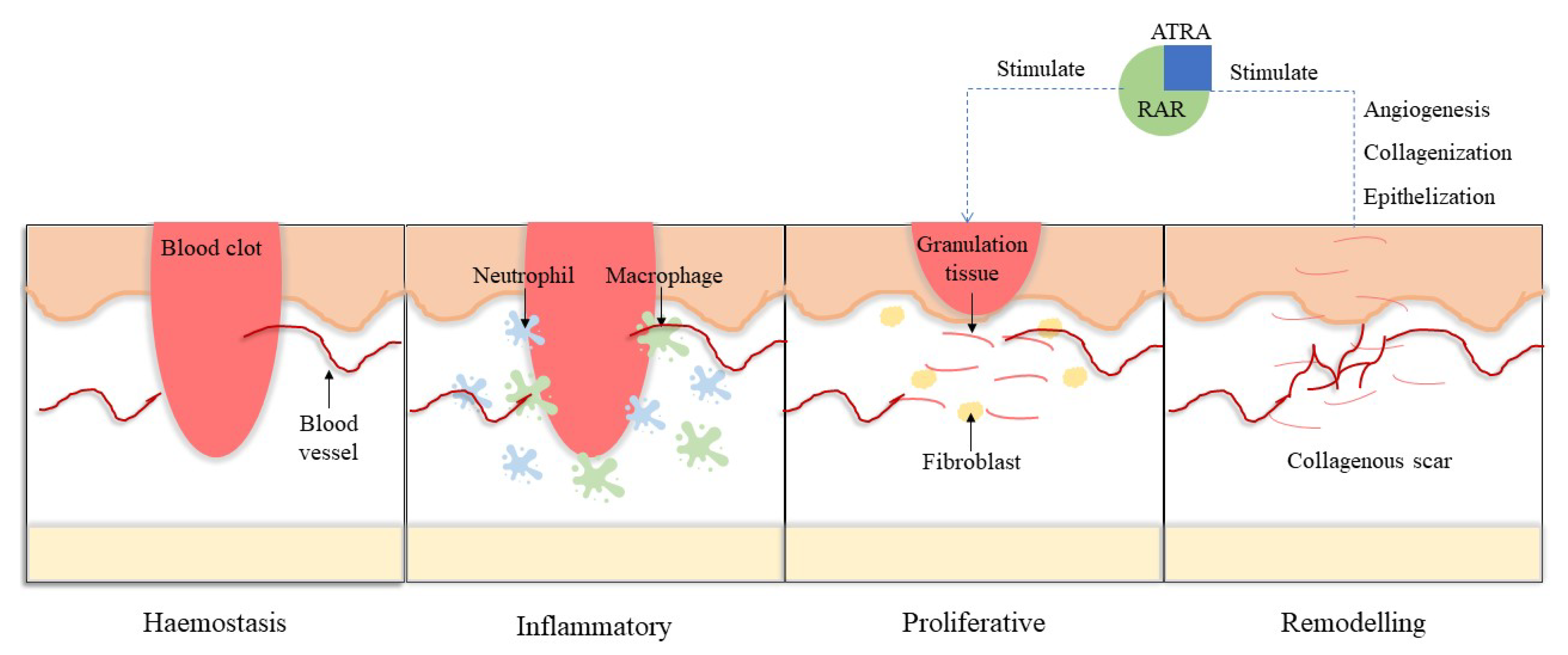 Cosmetics 09 00140 g006 Cosmetics 09 00140 g006