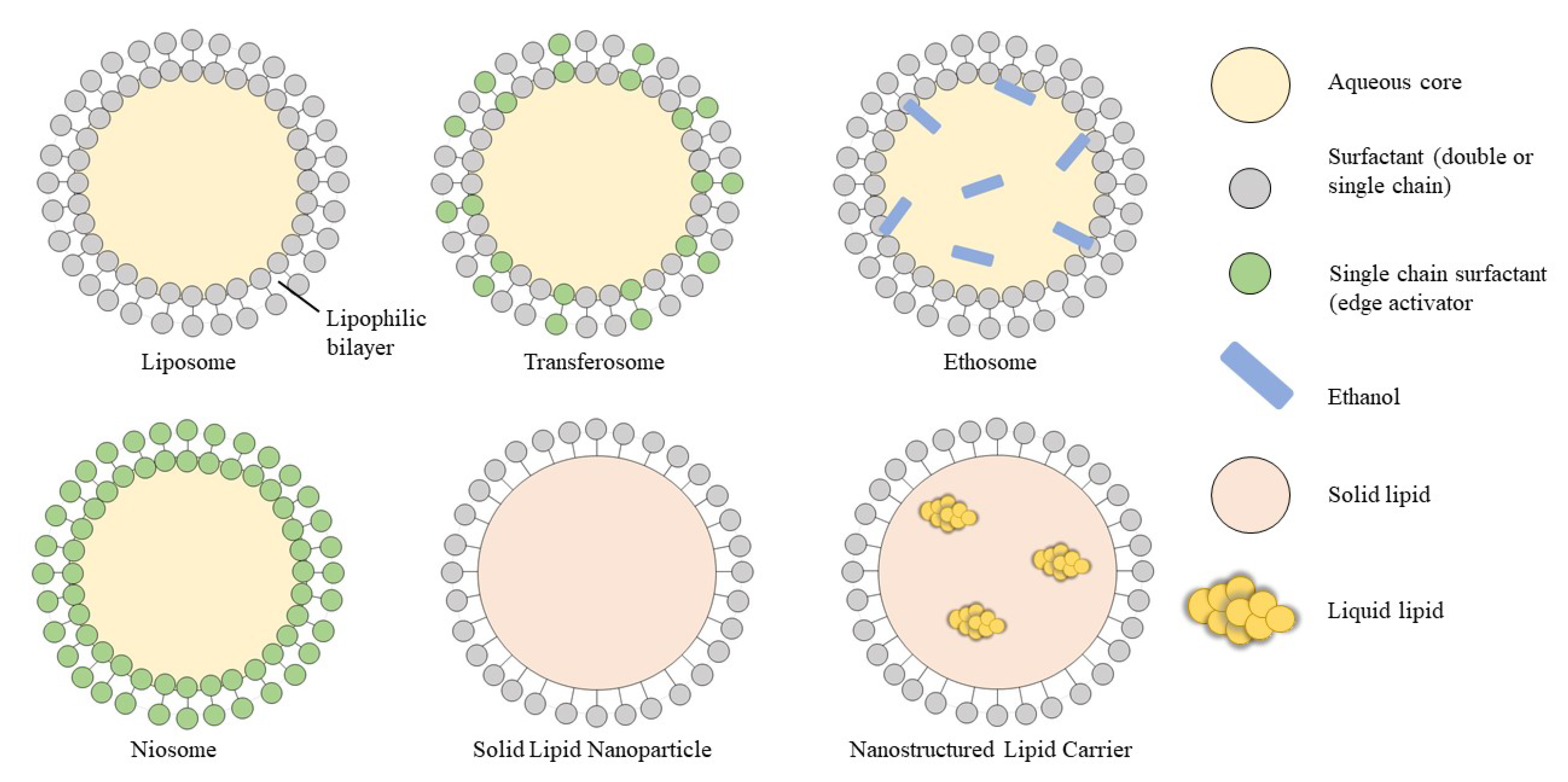 Cosmetics 09 00140 g007 Cosmetics 09 00140 g007
