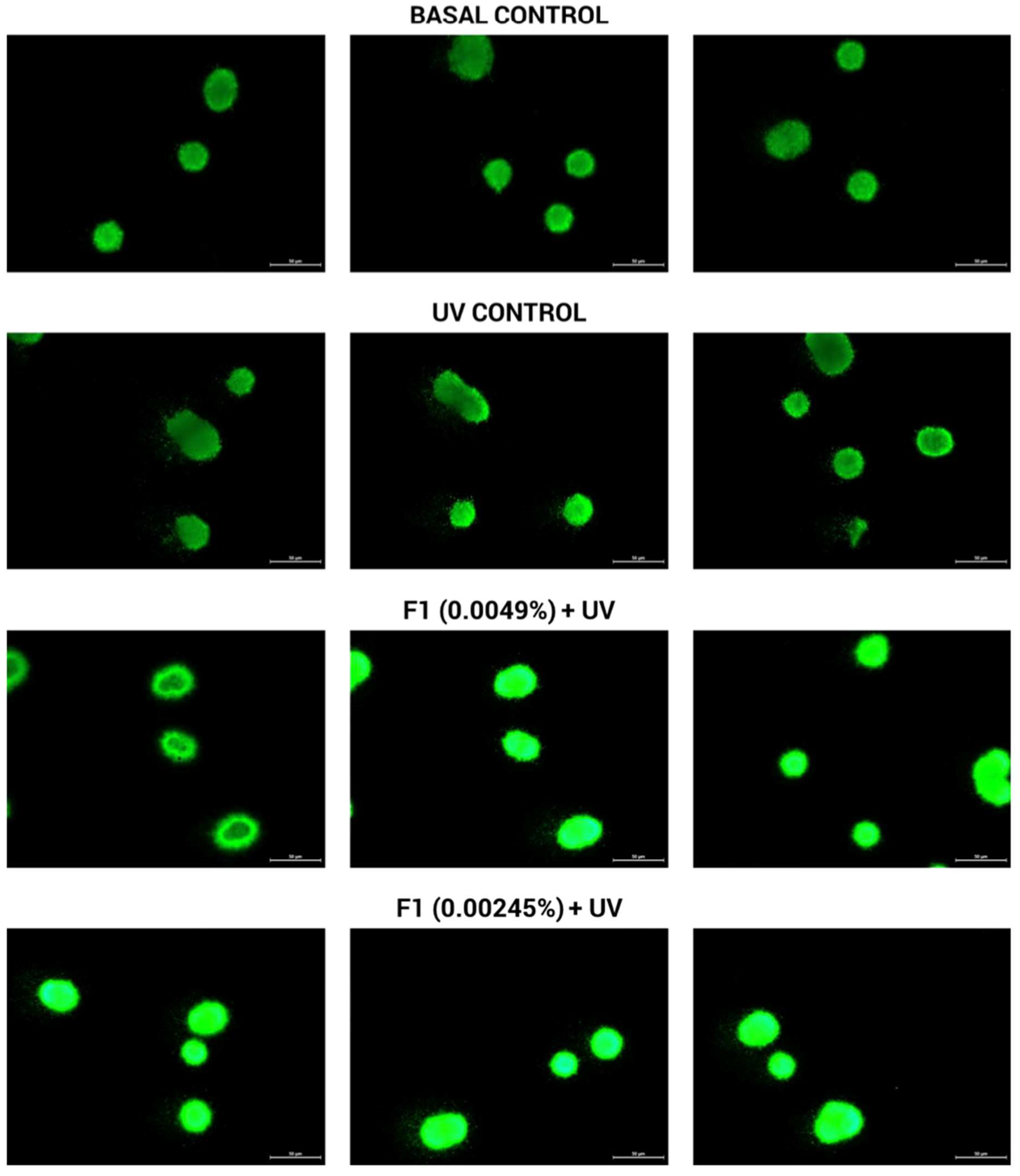 Cosmetics 09 00141 g004a Cosmetics 09 00141 g004a
