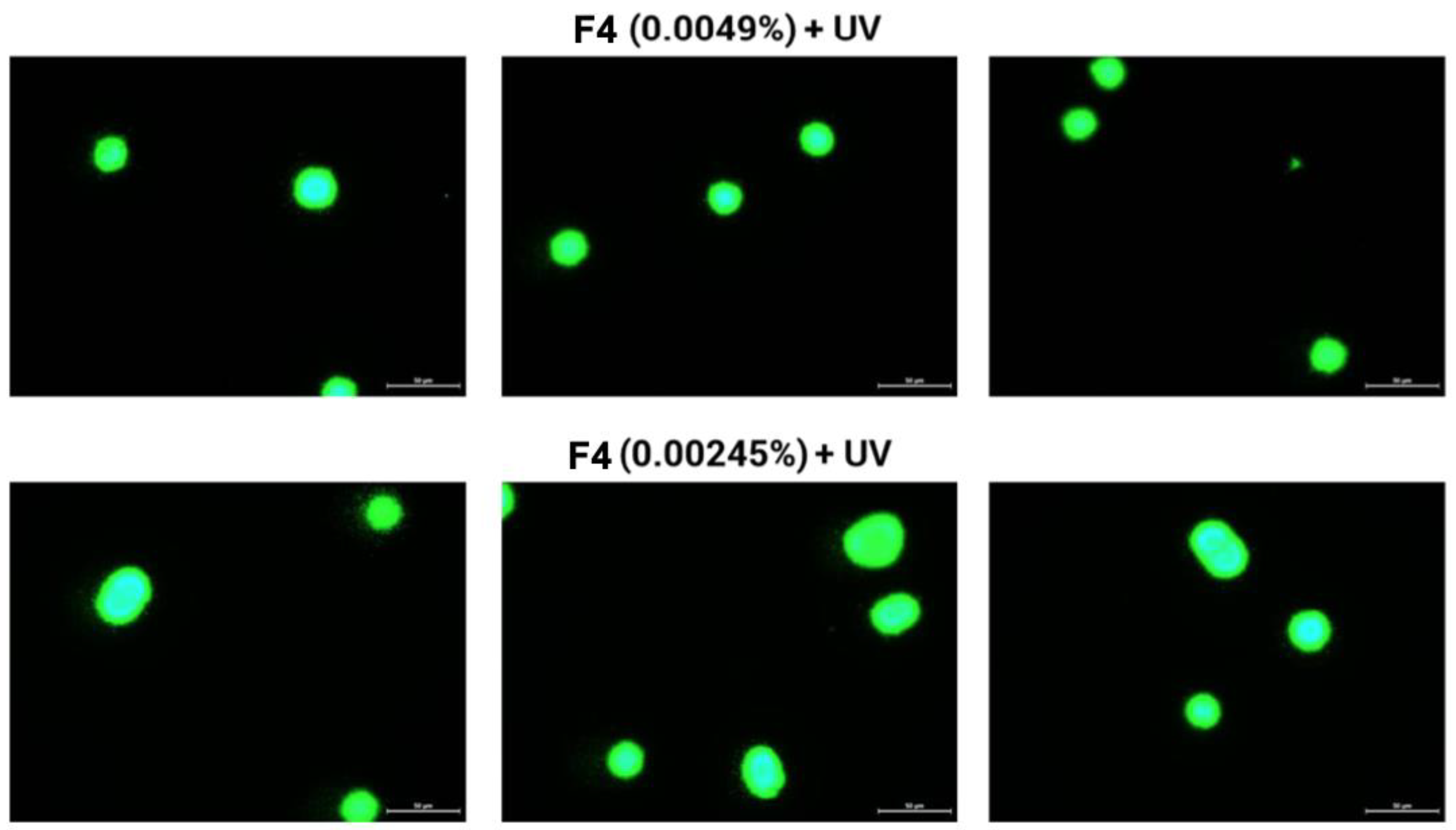 Cosmetics 09 00141 g004c Cosmetics 09 00141 g004c