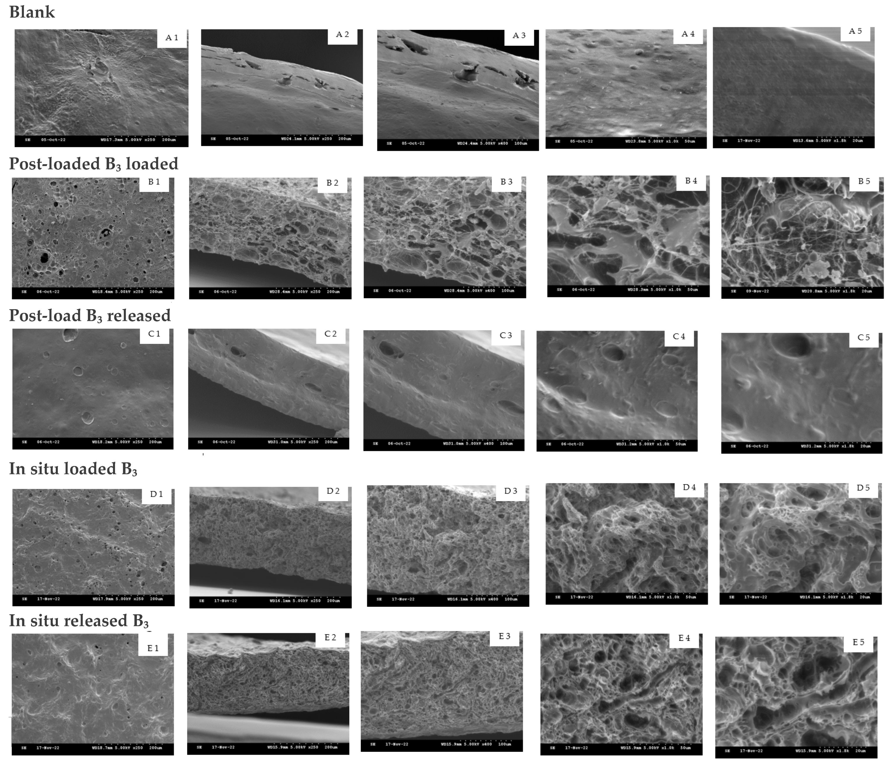 Cosmetics 10 00006 g005