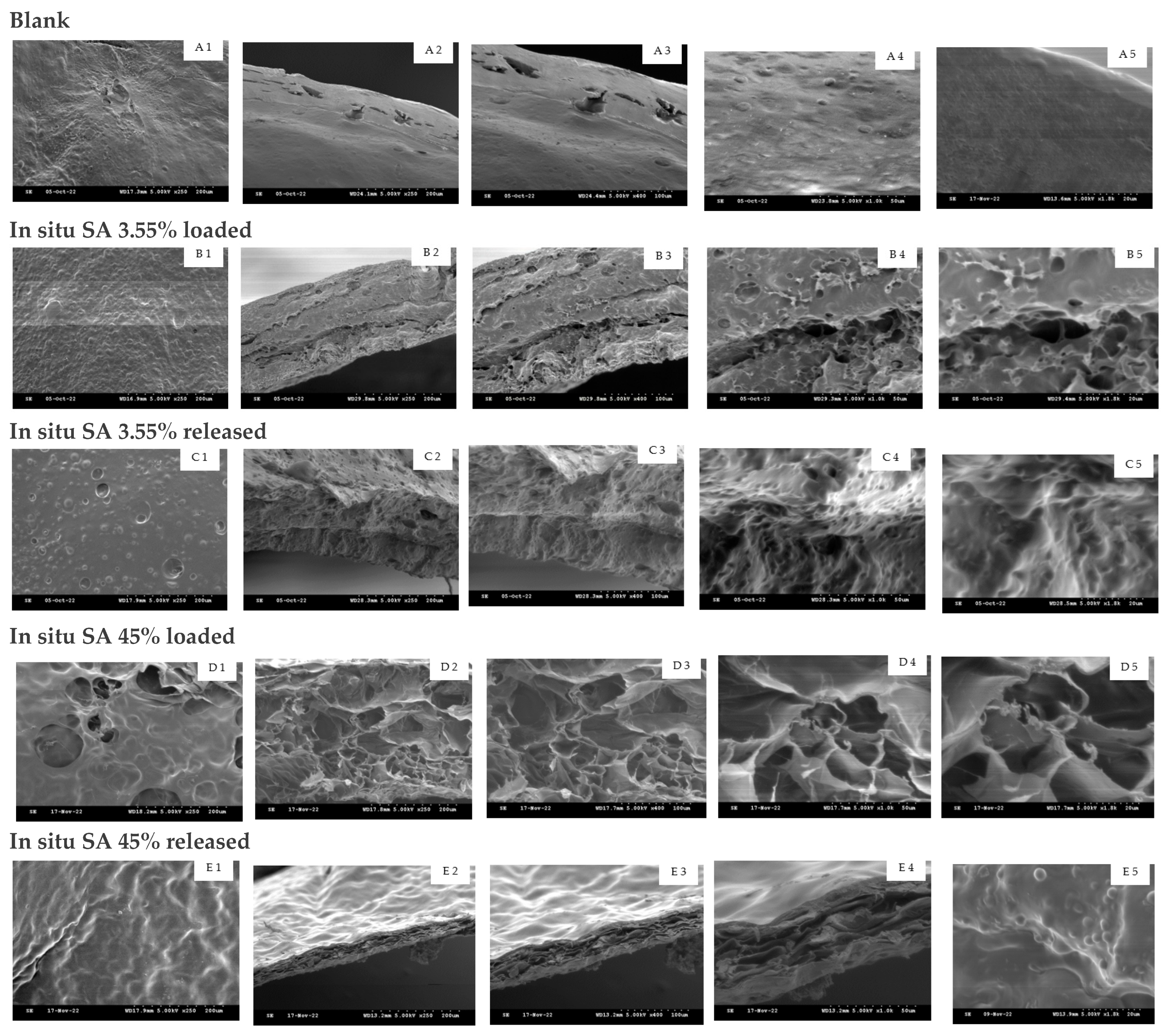 Cosmetics 10 00006 g006