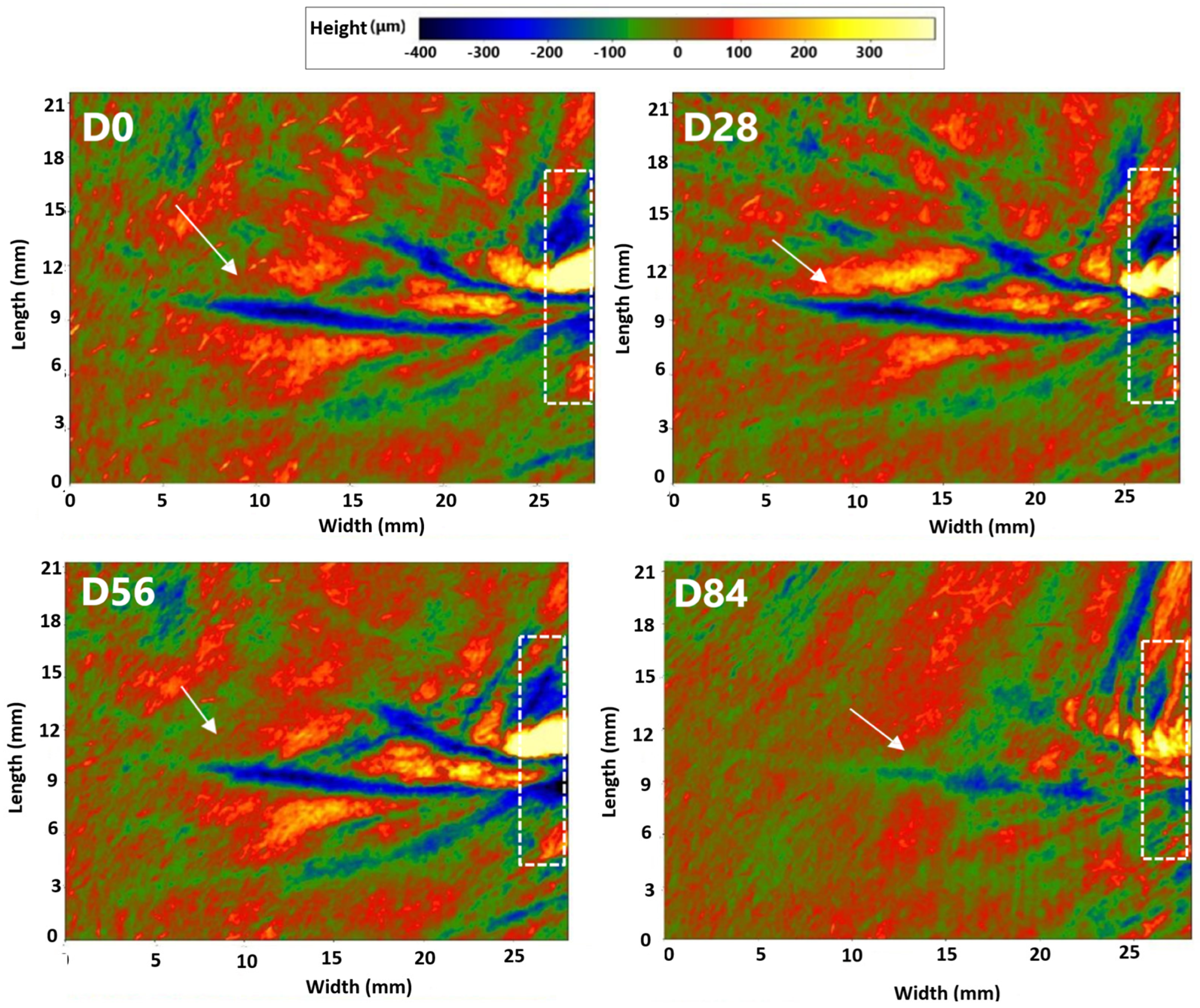 Cosmetics 10 00016 g004