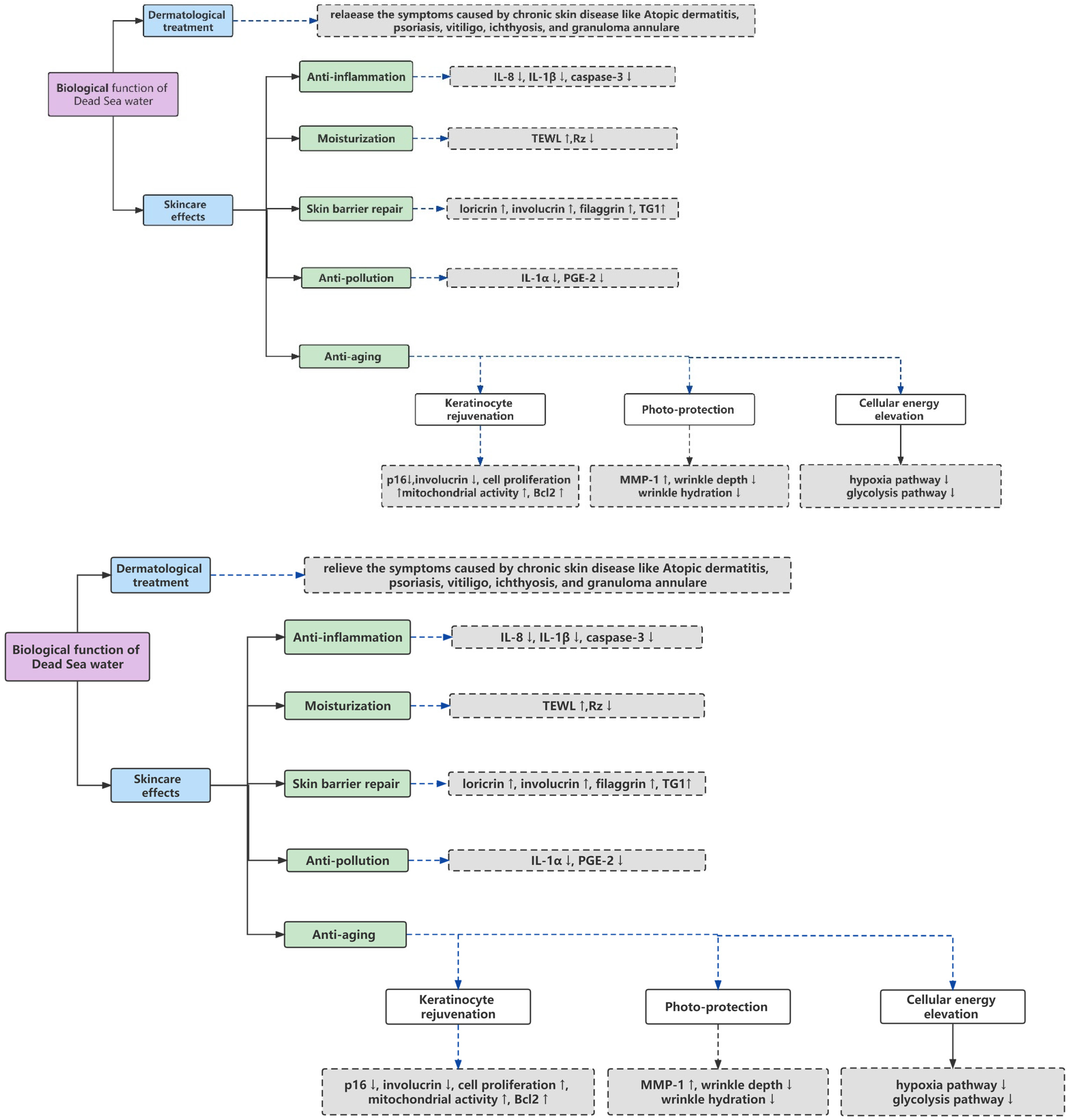 Cosmetics 10 00021 g001 Cosmetics 10 00021 g001
