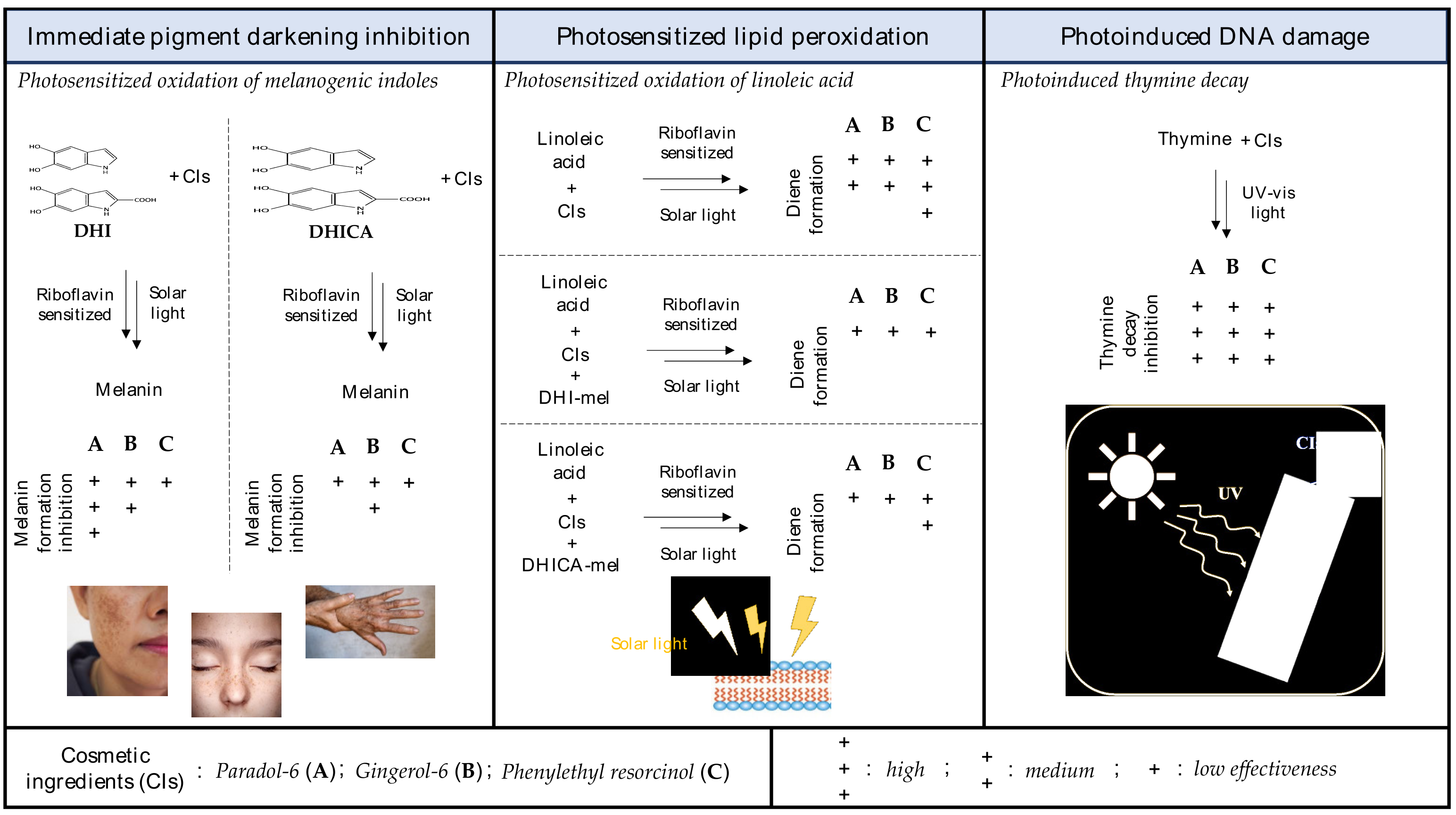 Cosmetics 10 00022 g011 Cosmetics 10 00022 g011