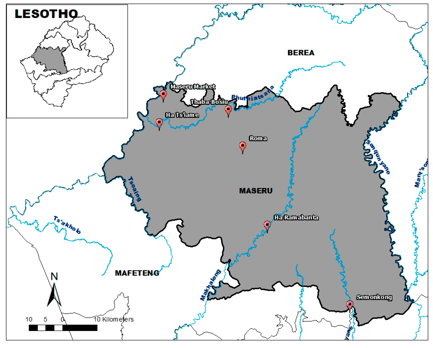 Cosmetics 10 00028 g001