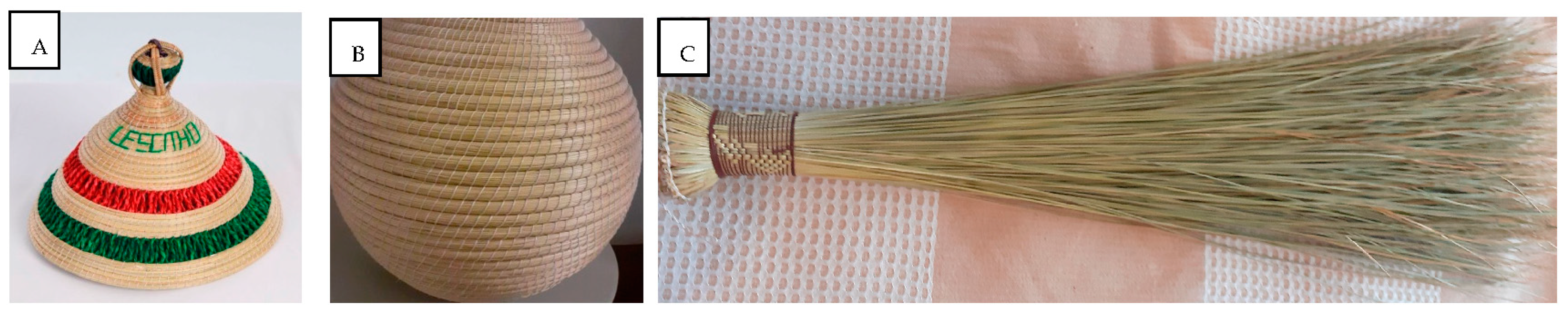 Cosmetics 10 00028 g004