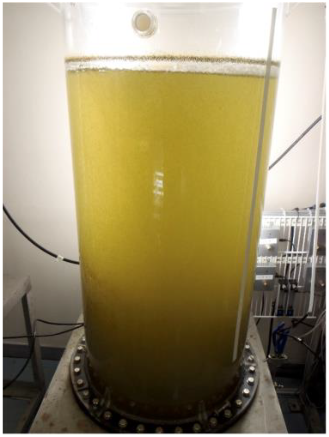 Cosmetics 10 00030 g002 Cosmetics 10 00030 g002