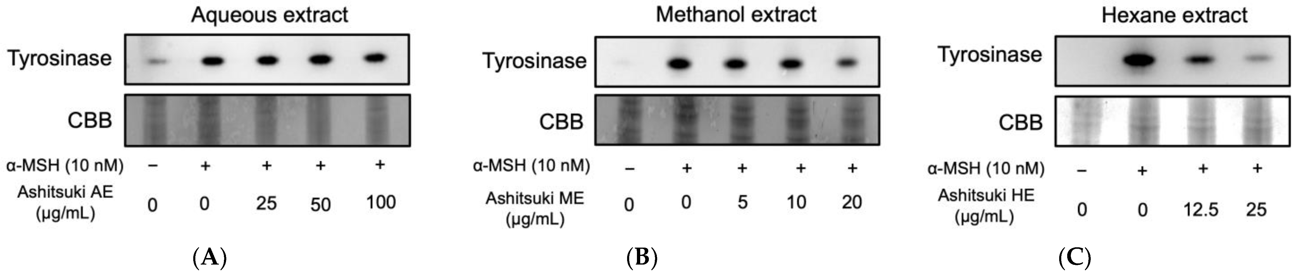 Cosmetics 10 00030 g007 Cosmetics 10 00030 g007