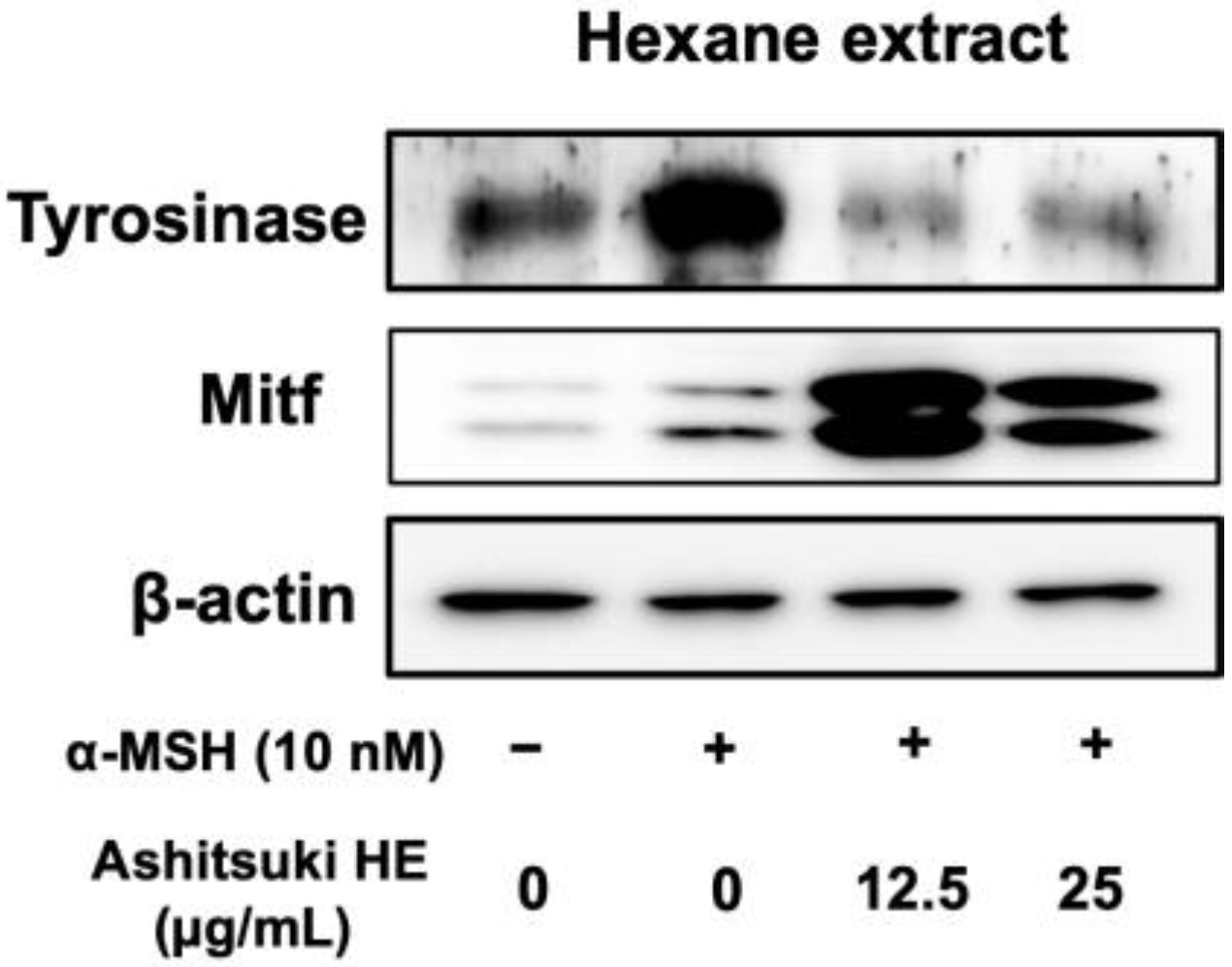 Cosmetics 10 00030 g008 Cosmetics 10 00030 g008