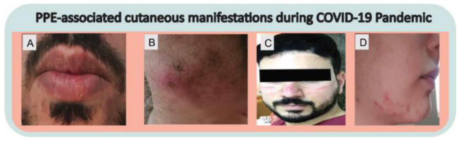 Cosmetics 10 00034 g005