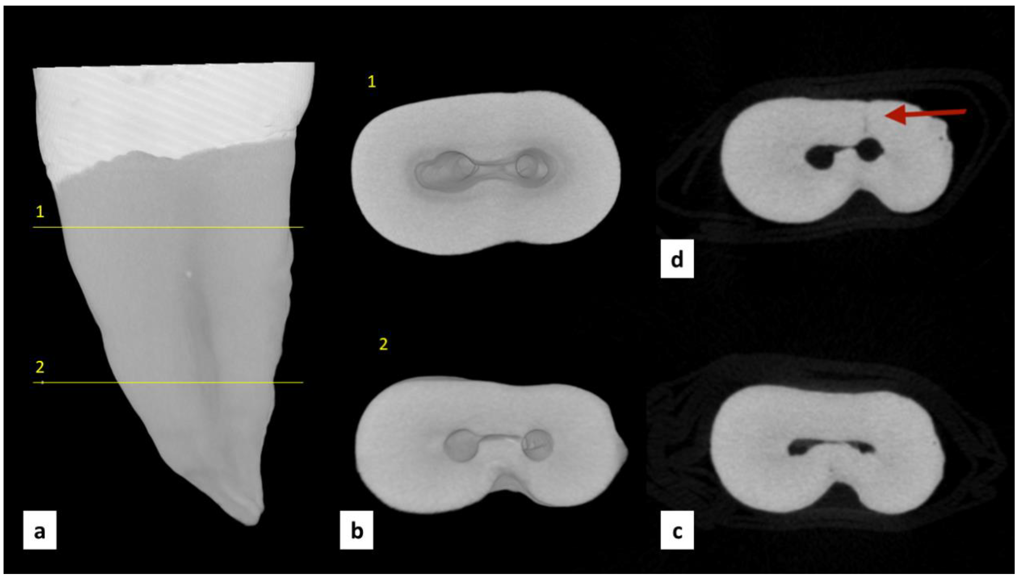 Cosmetics 10 00037 g002 Cosmetics 10 00037 g002