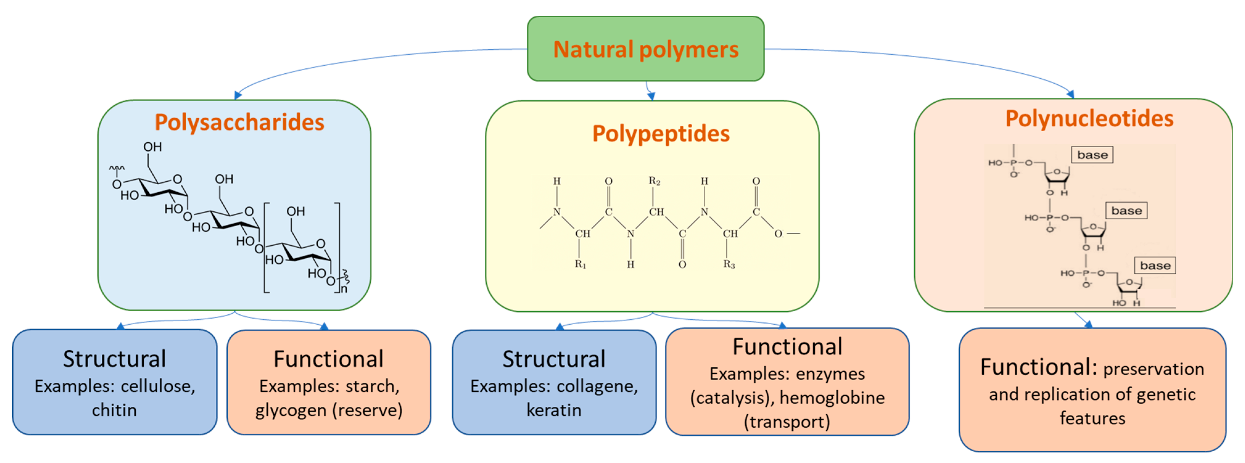 Cosmetics 10 00042 g002