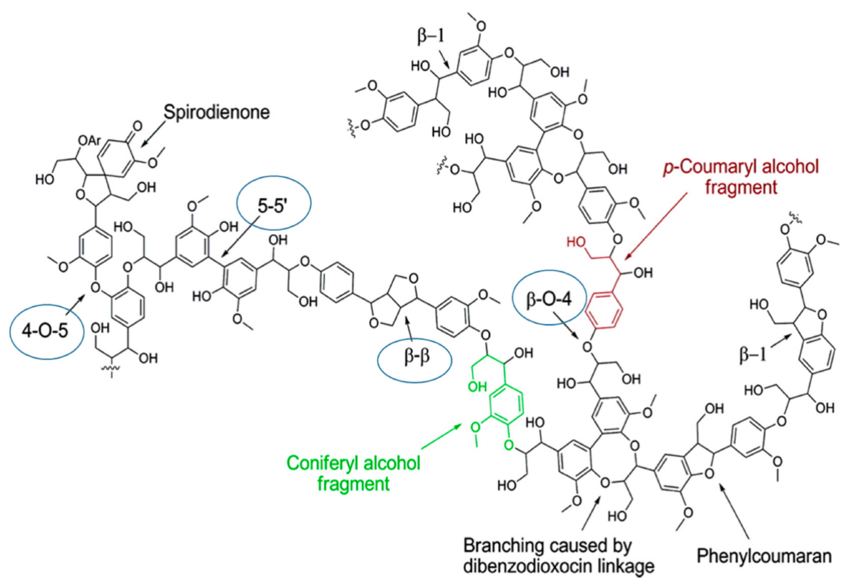 Cosmetics 10 00042 g009