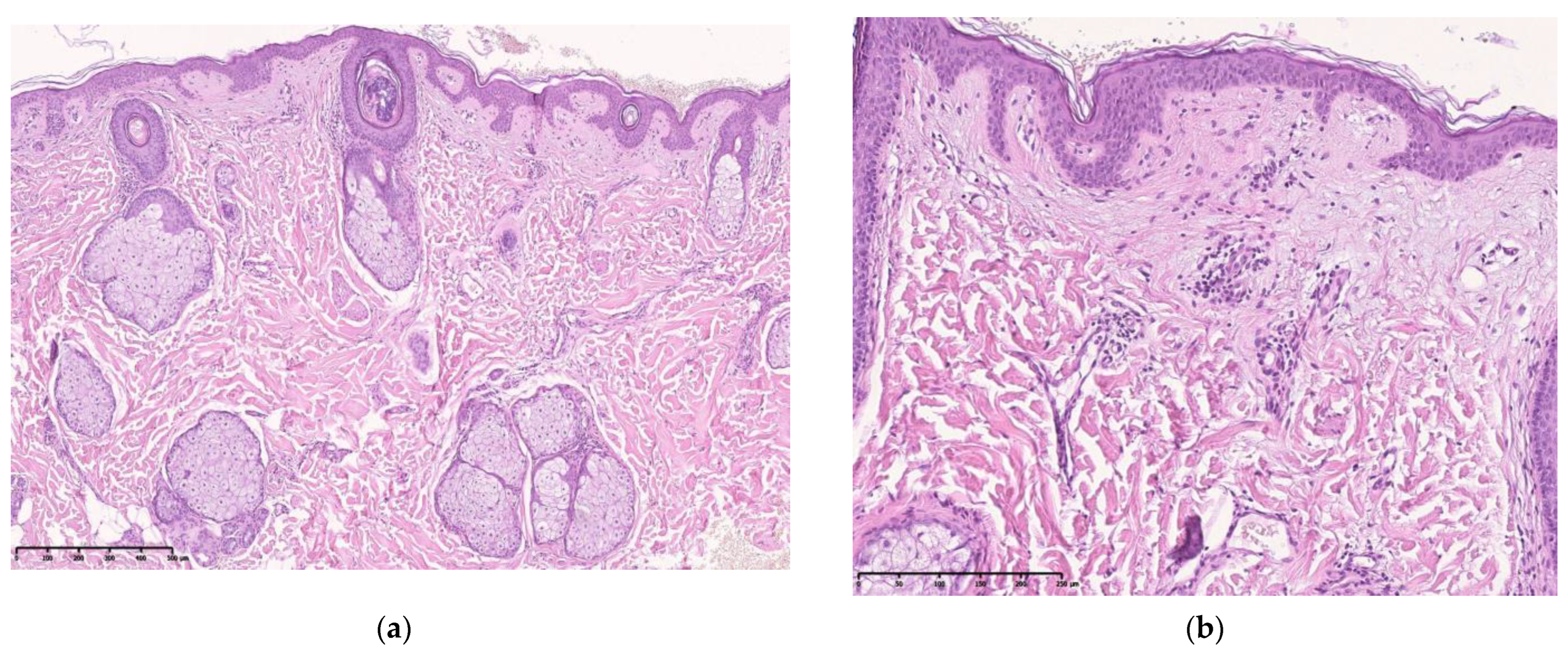 Cosmetics 10 00049 g005a Cosmetics 10 00049 g005a