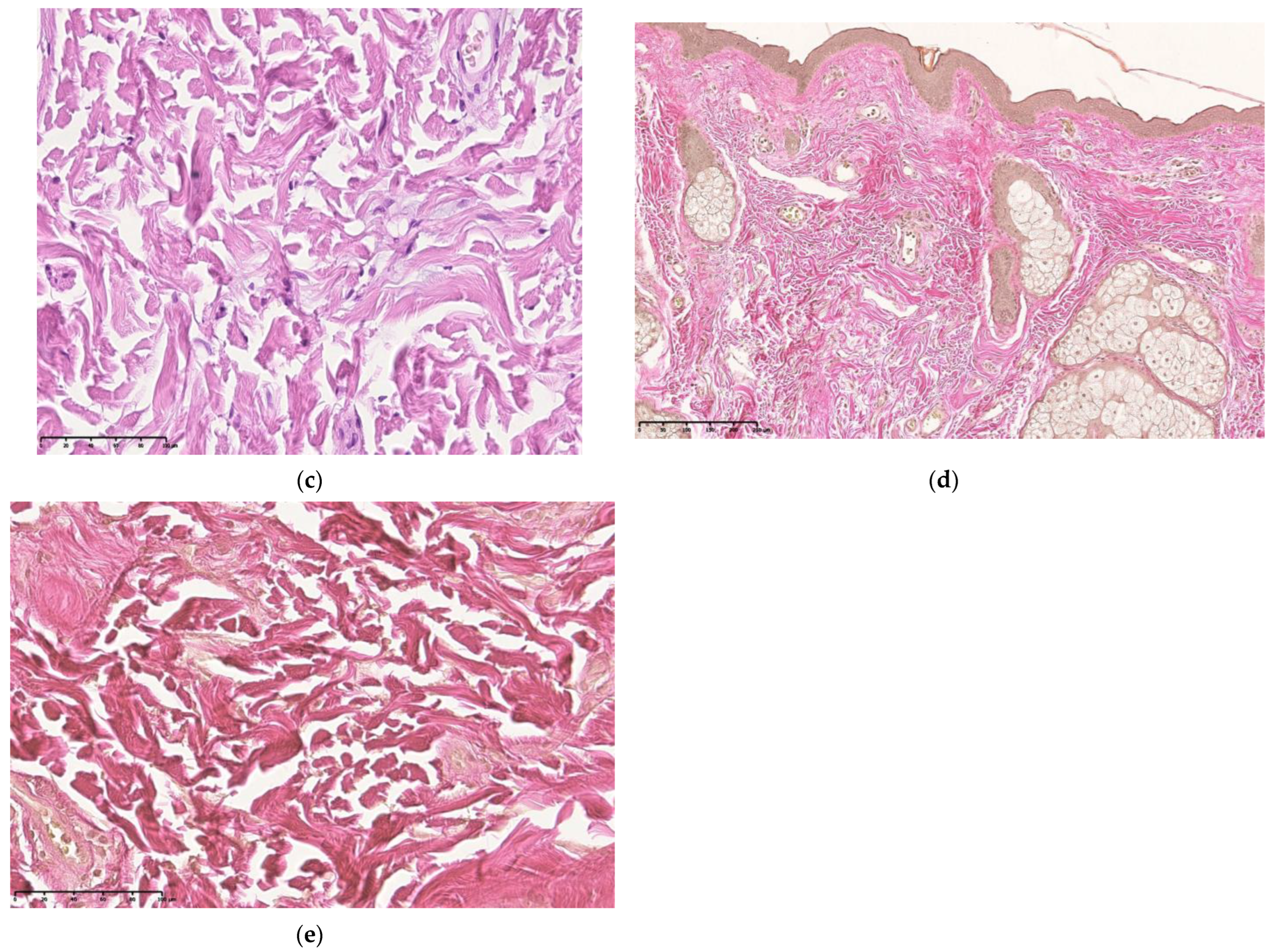 Cosmetics 10 00049 g005b Cosmetics 10 00049 g005b