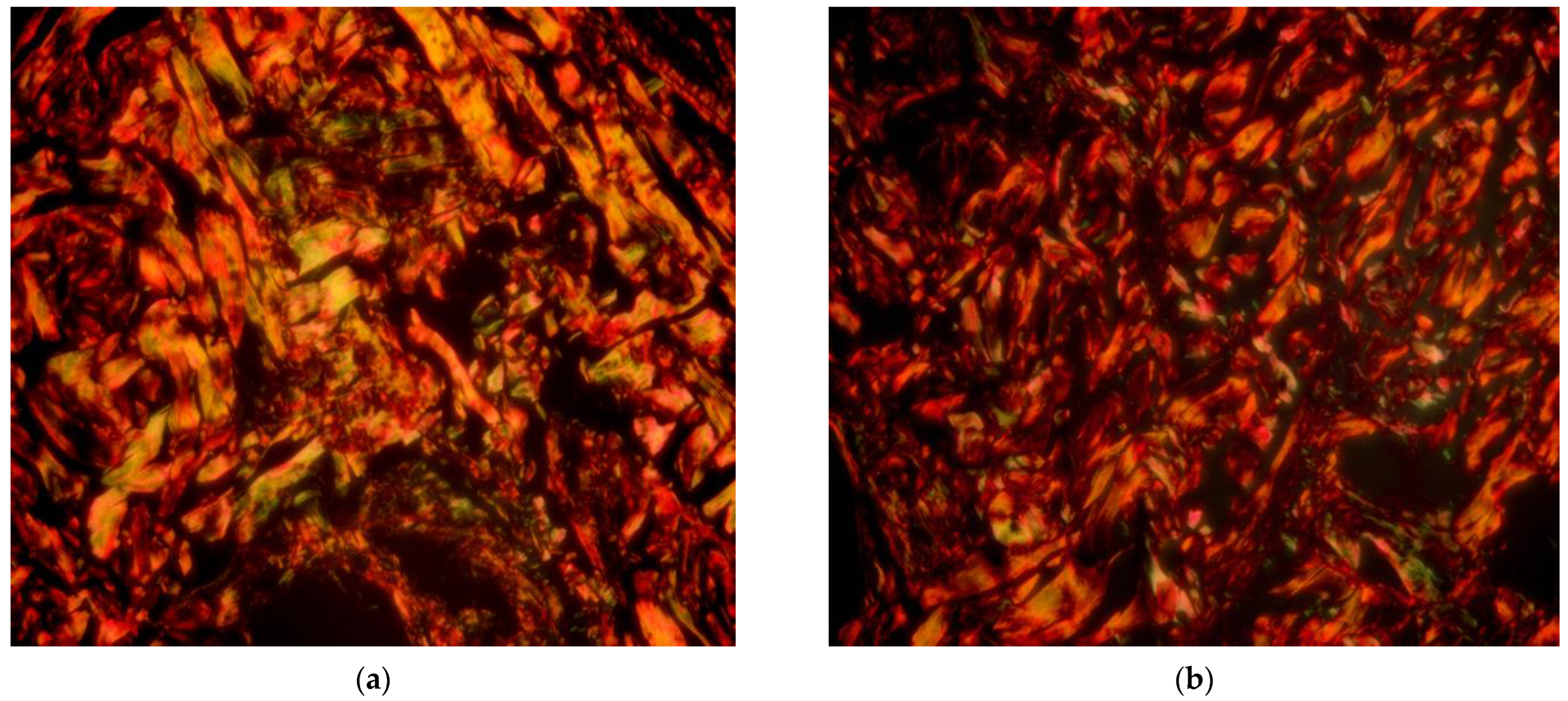 Cosmetics 10 00049 g009a Cosmetics 10 00049 g009a