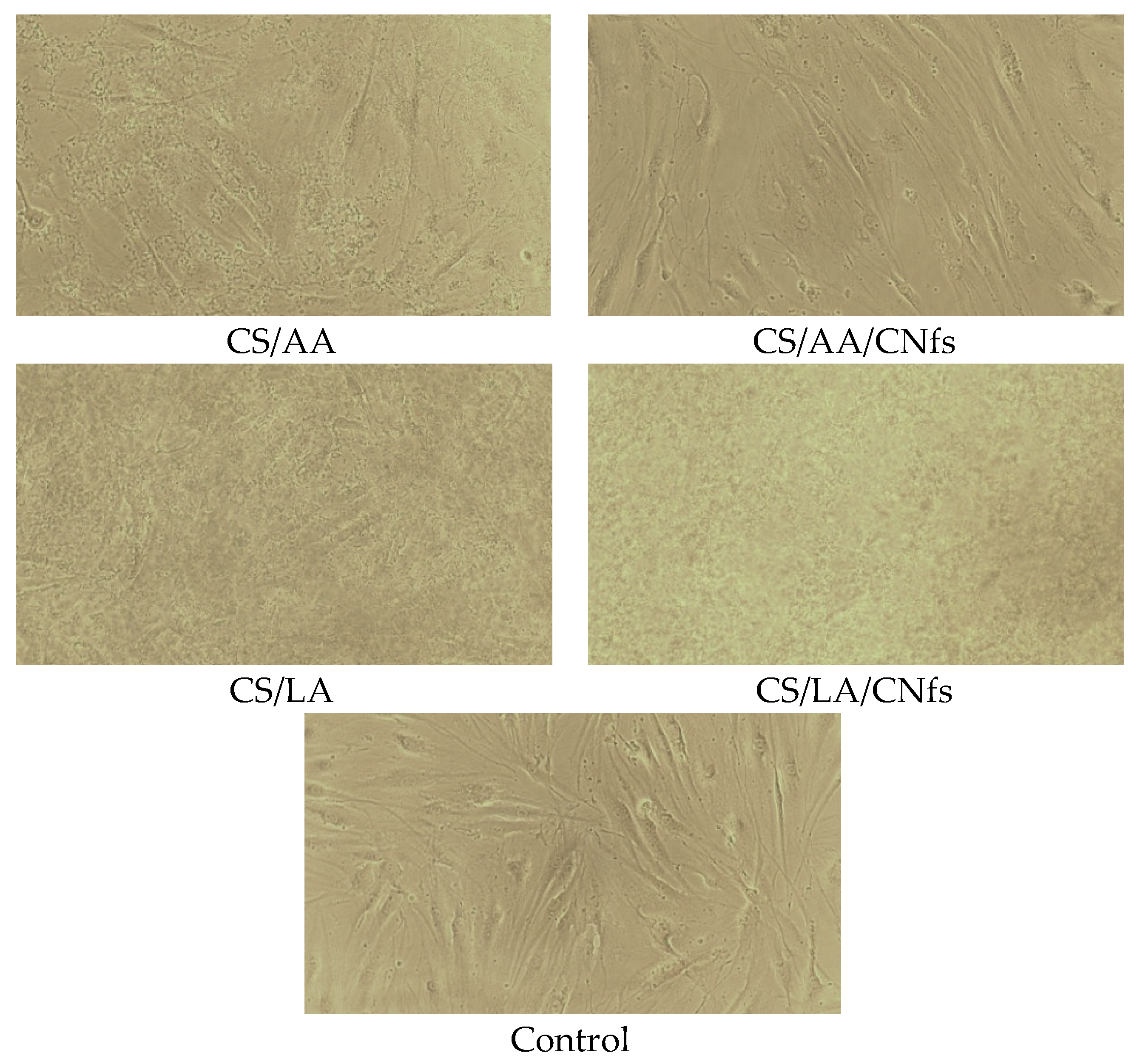 Cosmetics 10 00051 g010