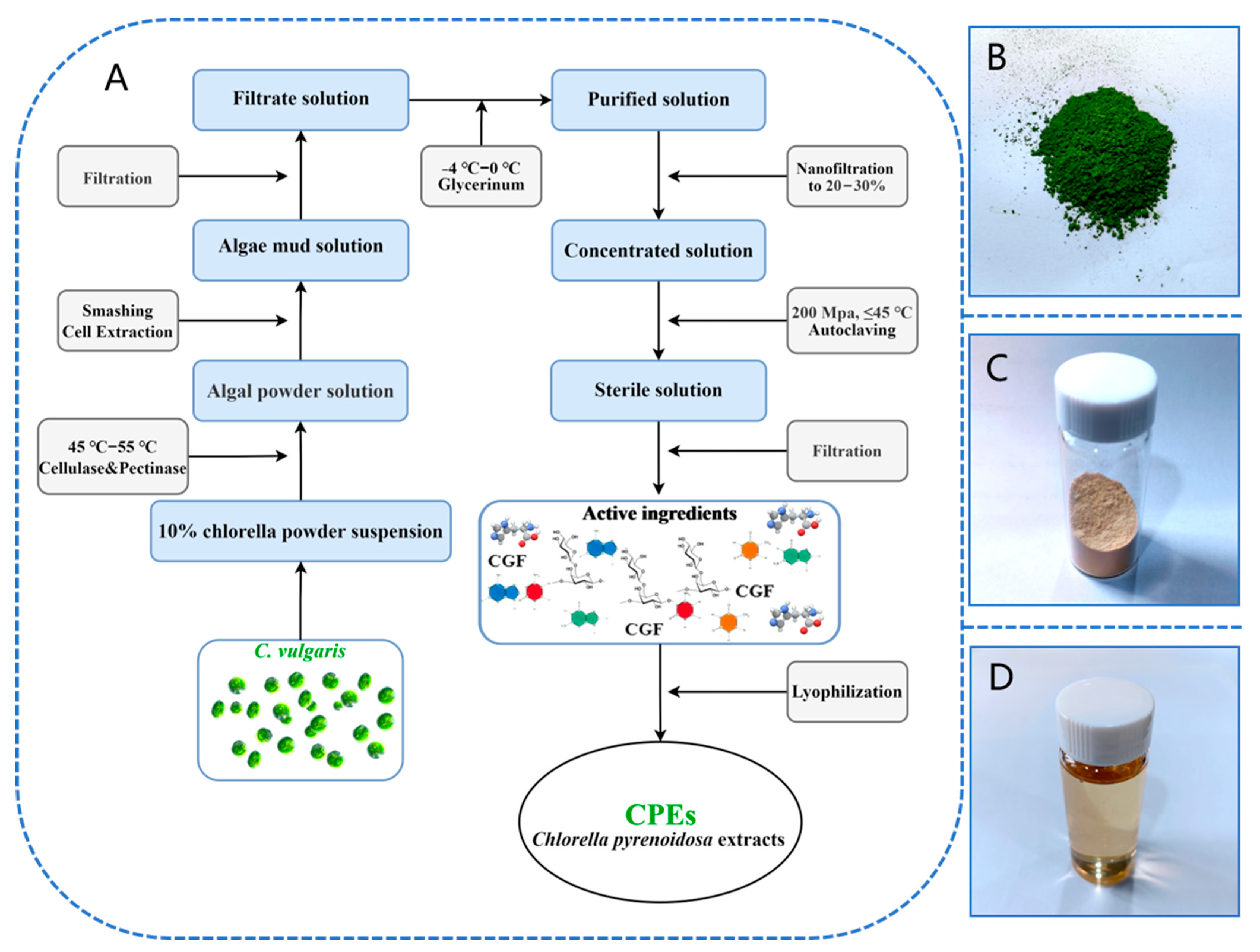 Cosmetics 10 00063 g001