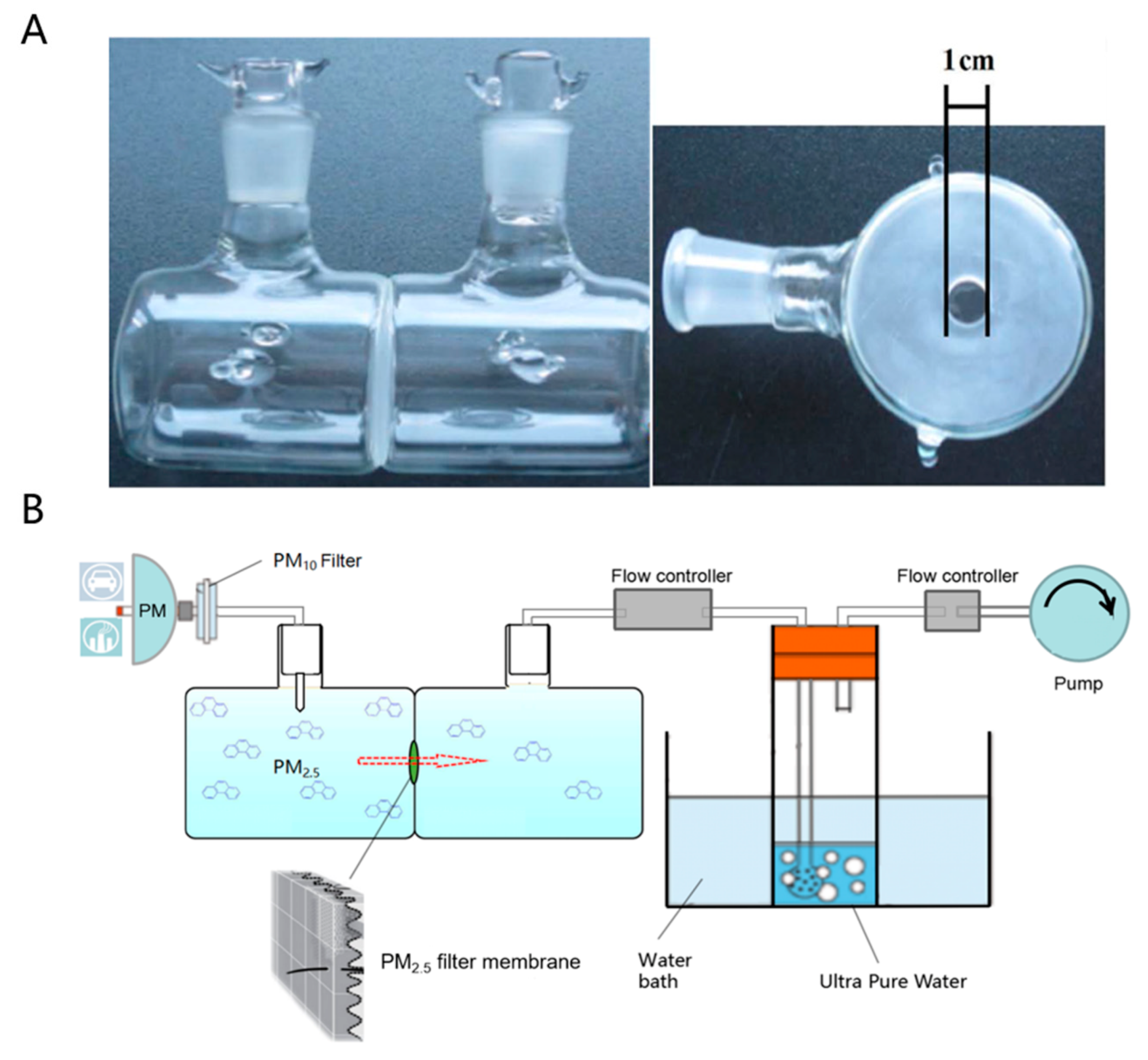 Cosmetics 10 00063 g002