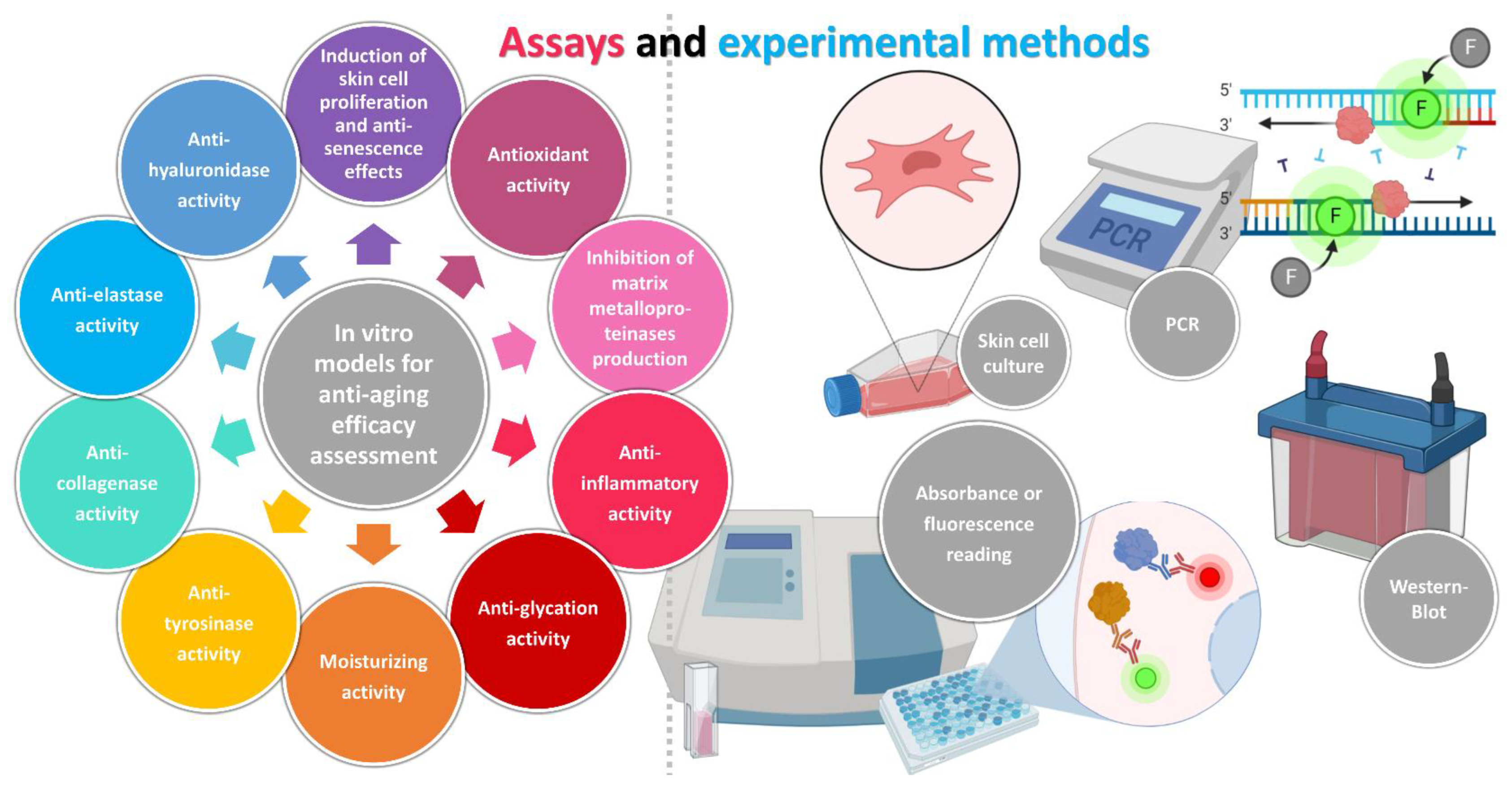 Cosmetics 10 00066 g002