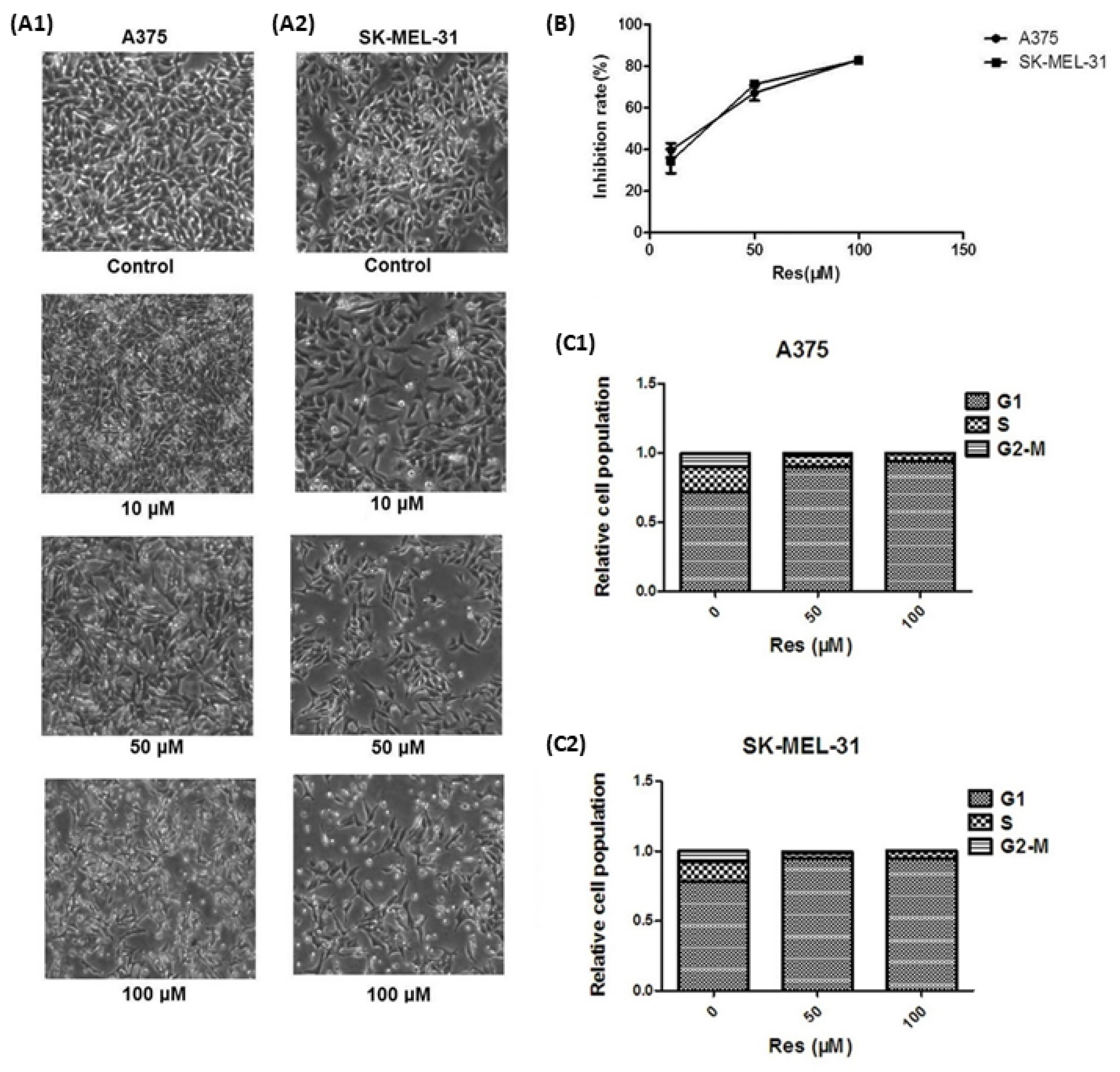 Cosmetics 10 00068 g006 Cosmetics 10 00068 g006