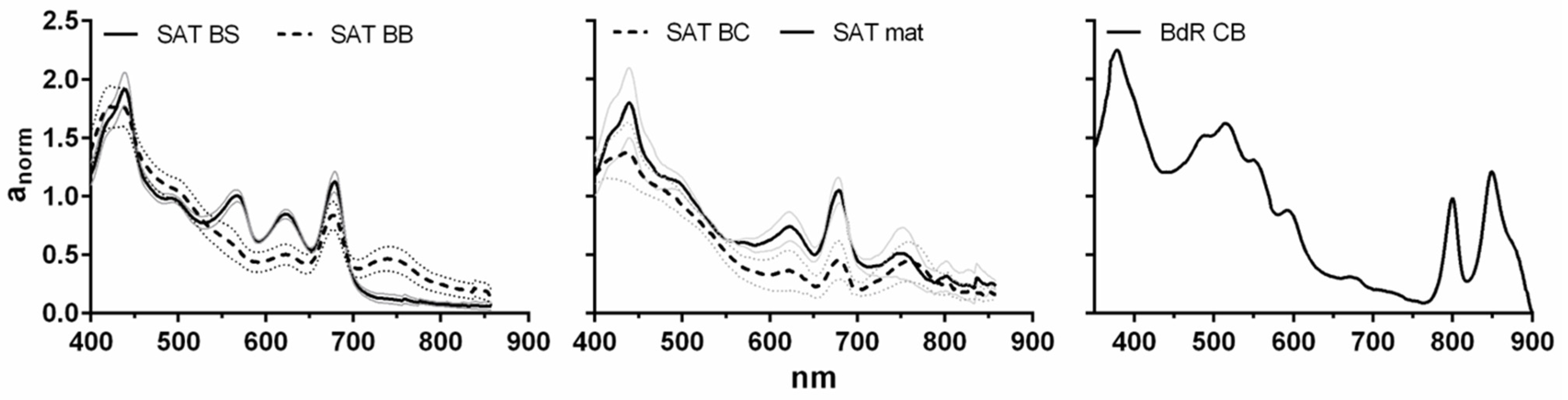 Cosmetics 10 00081 g003