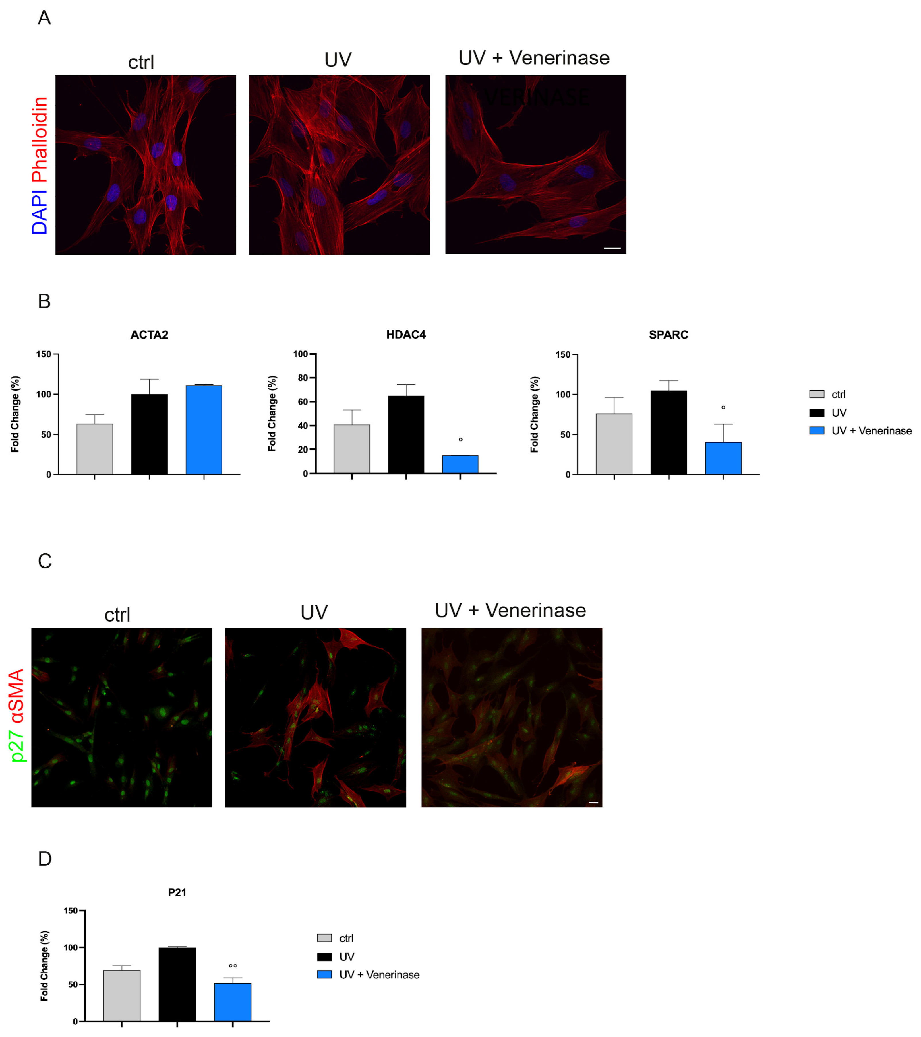Cosmetics 10 00083 g002