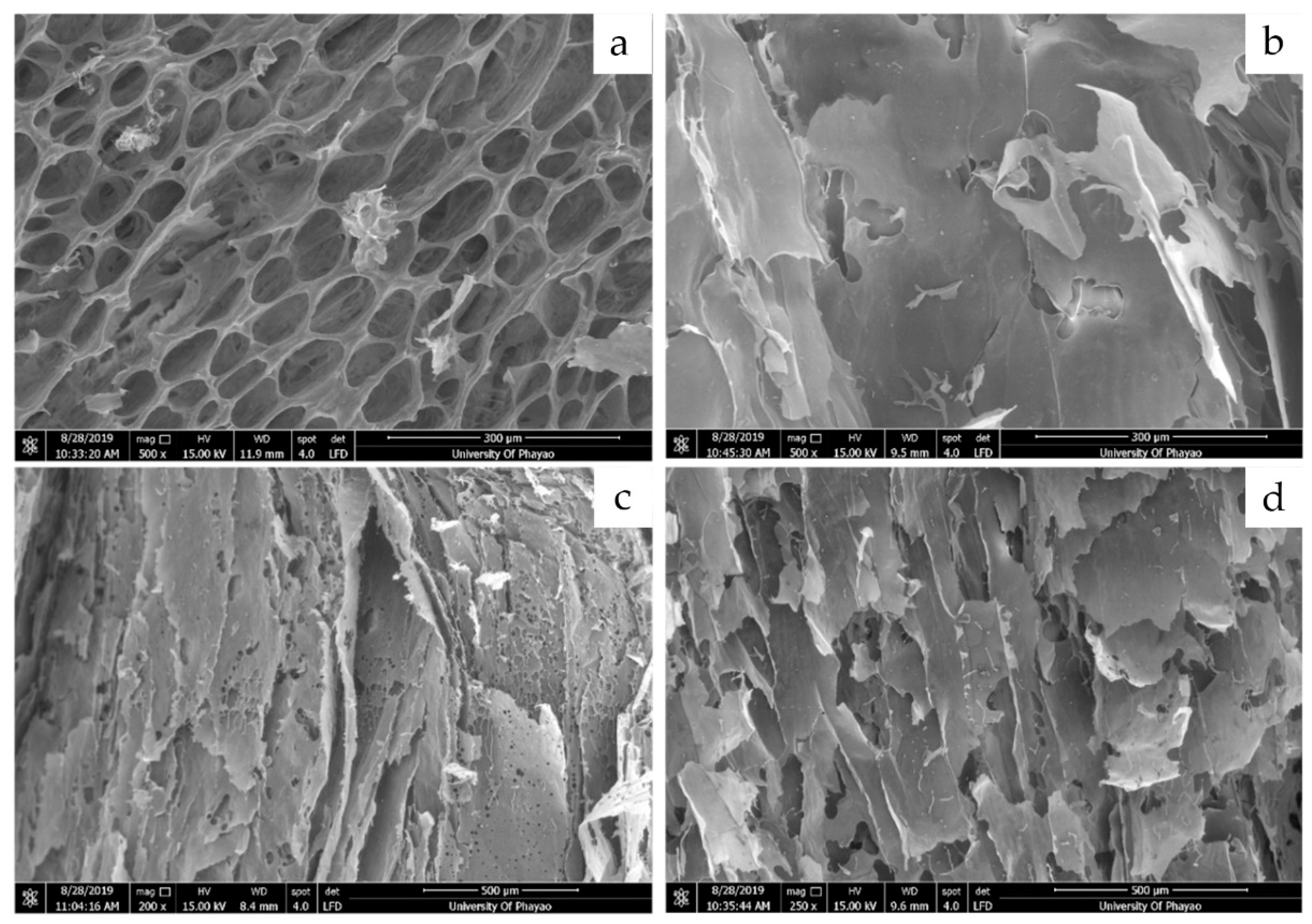 Cosmetics 10 00087 g002 Cosmetics 10 00087 g002