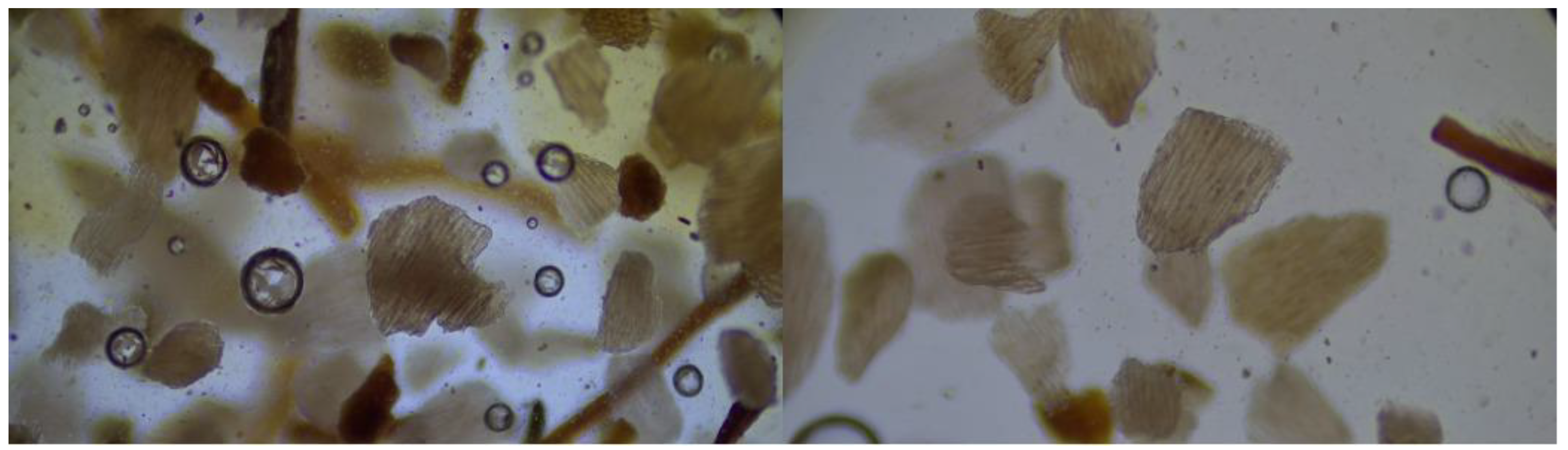 Cosmetics 10 00090 g004 Cosmetics 10 00090 g004