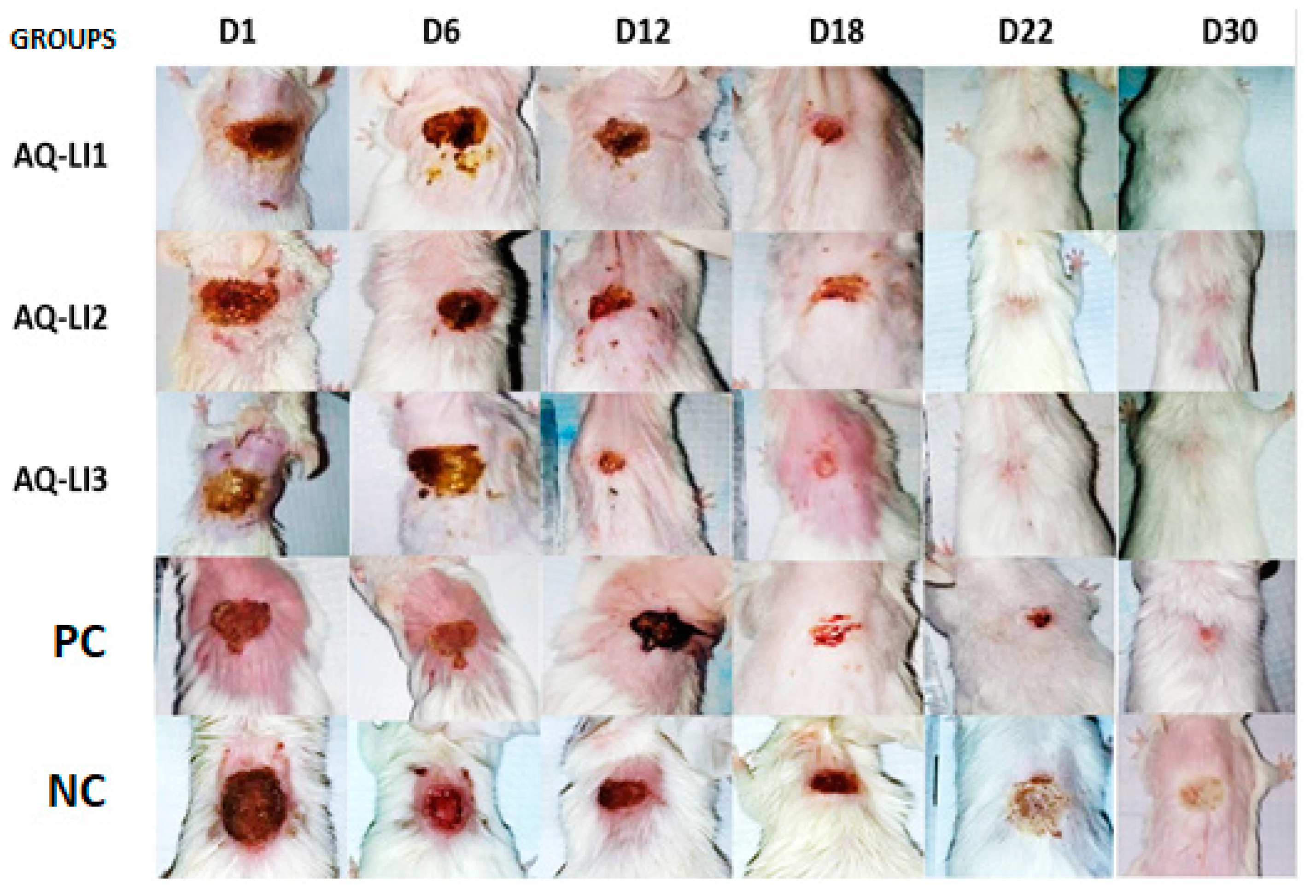 Cosmetics 10 00092 g004 Cosmetics 10 00092 g004