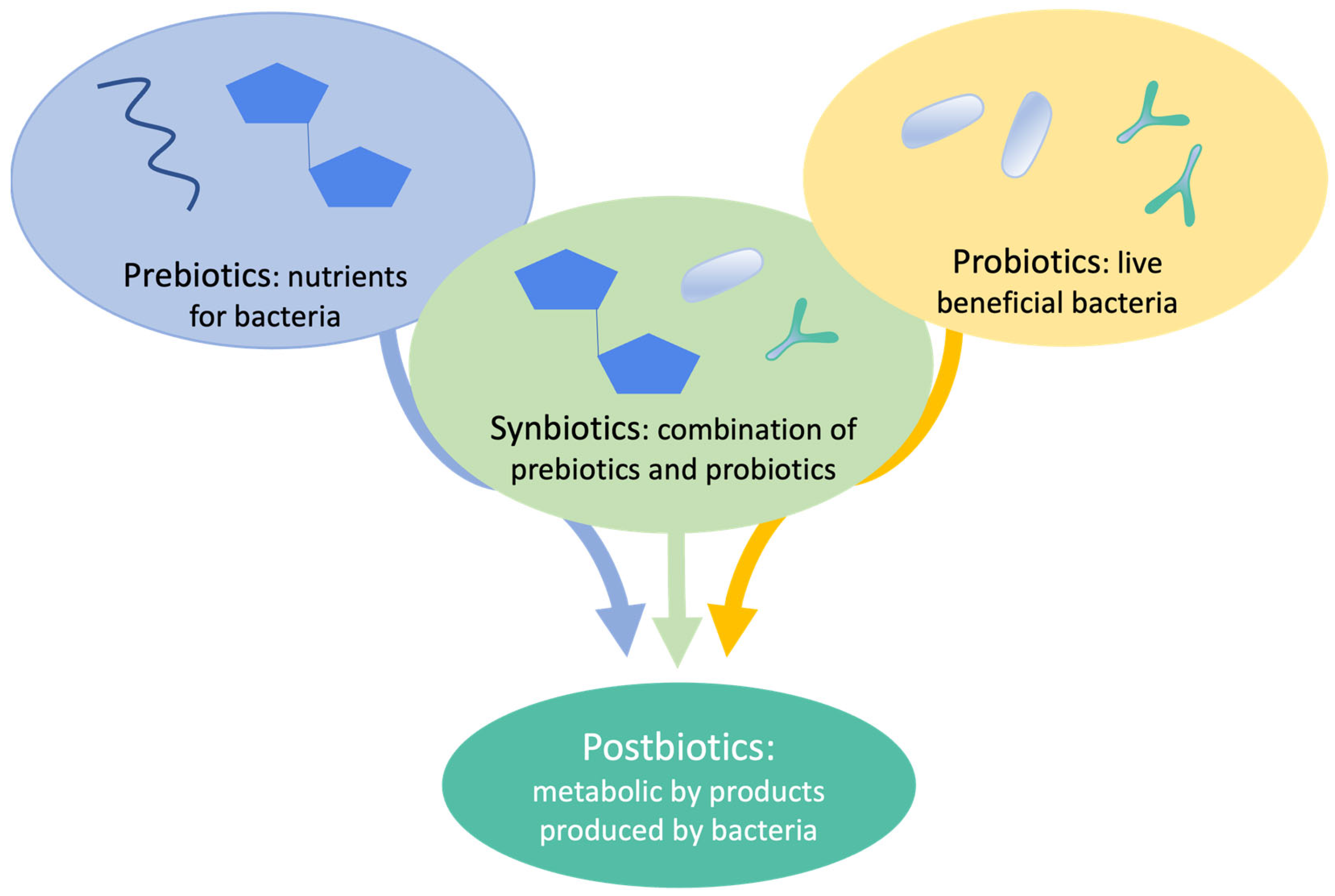 Cosmetics 10 00094 g001