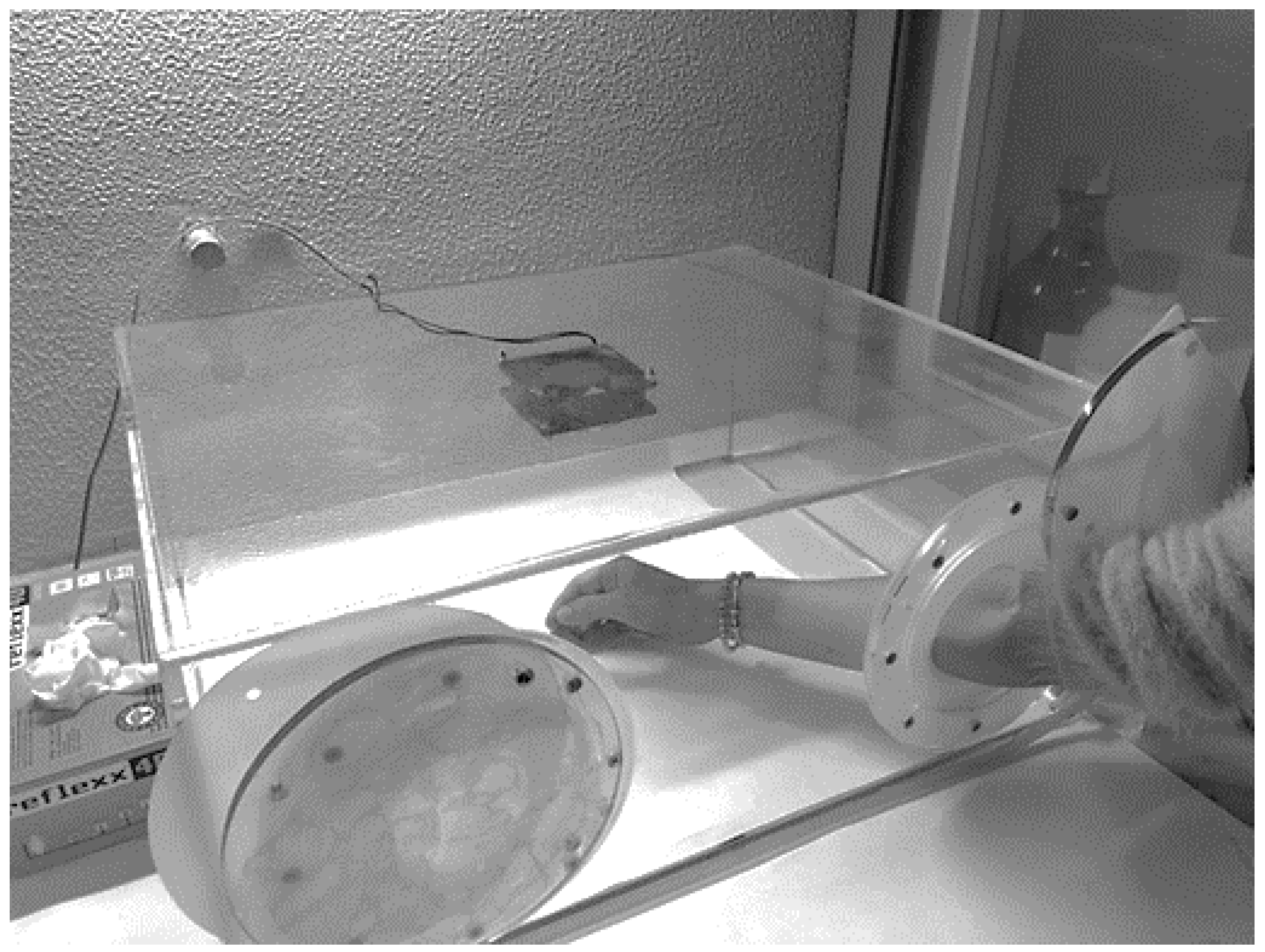 Cosmetics 10 00097 g002 Cosmetics 10 00097 g002