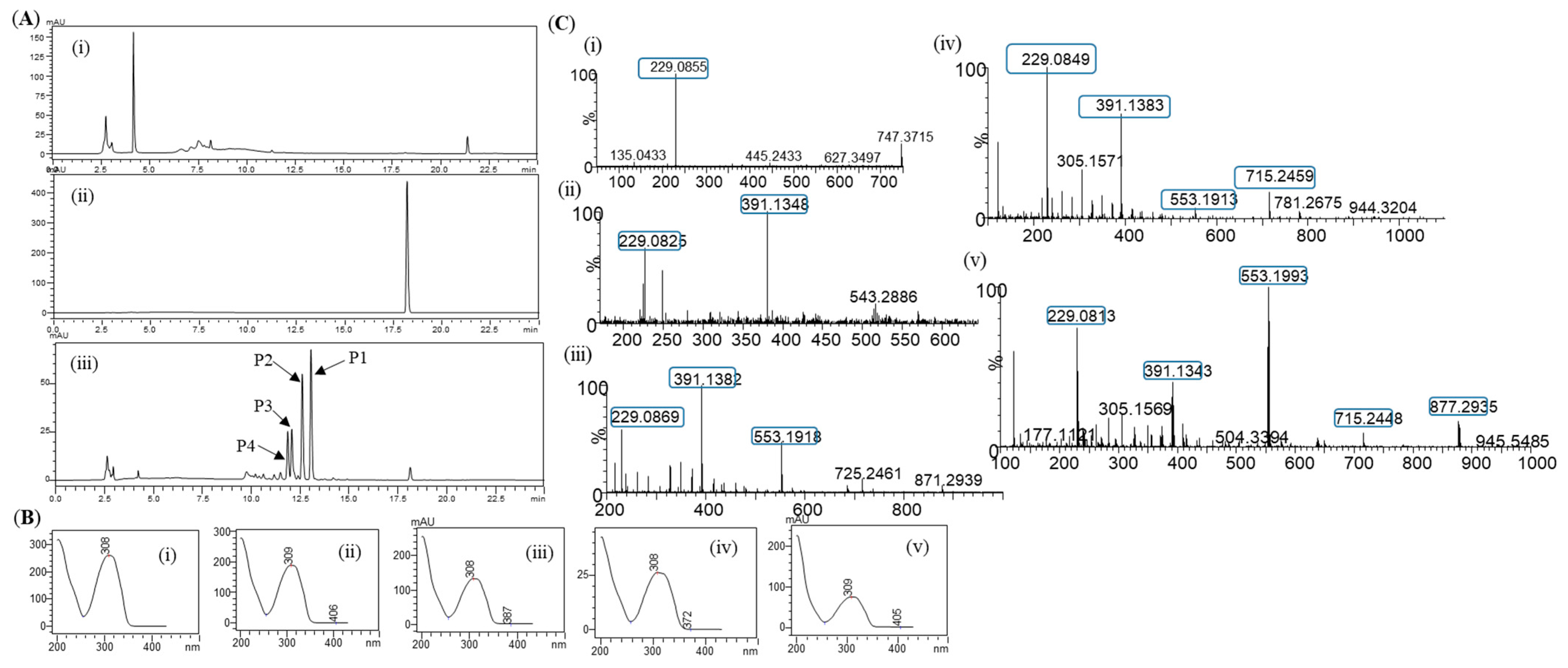 Cosmetics 10 00098 g002 Cosmetics 10 00098 g002