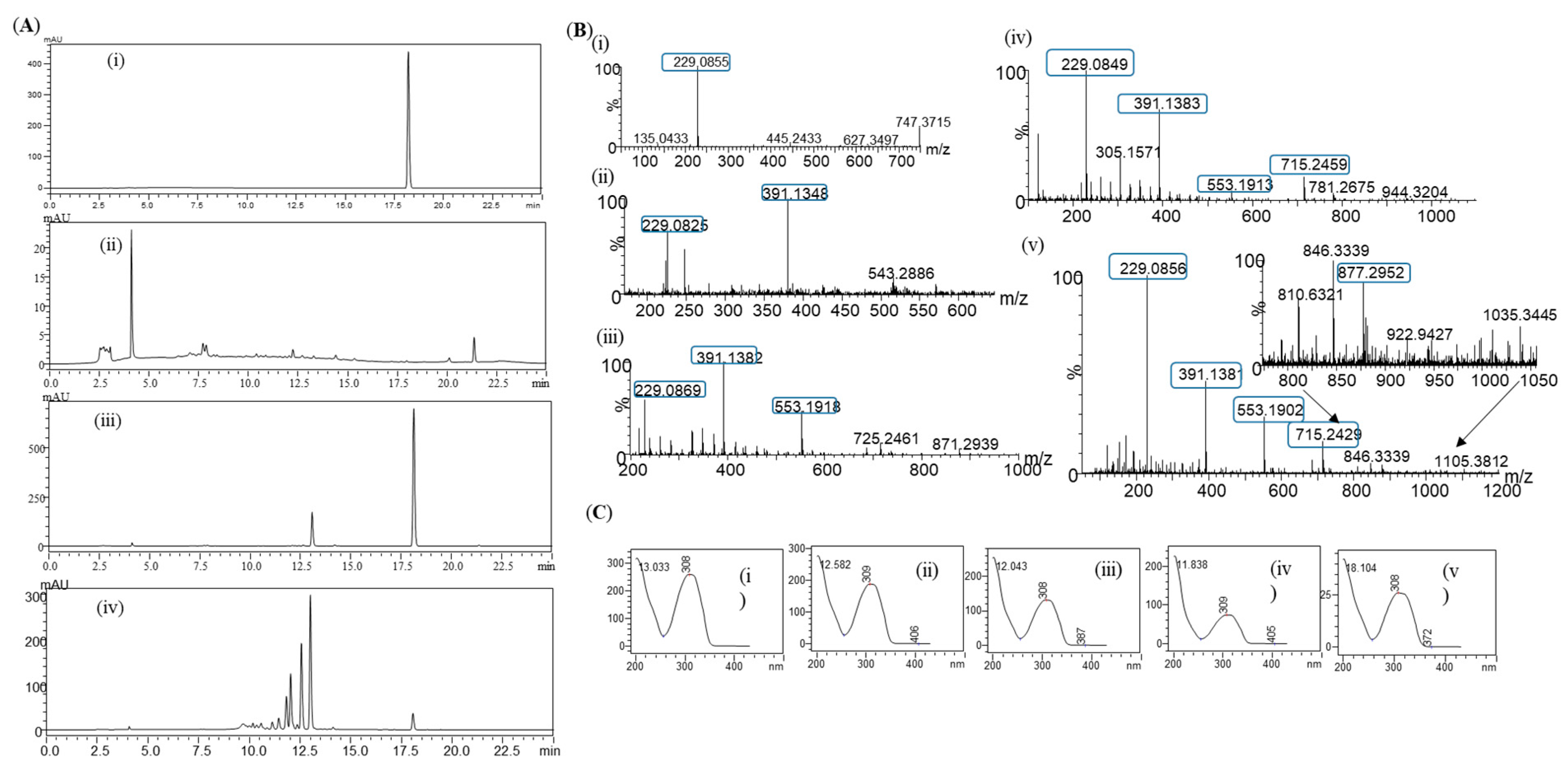 Cosmetics 10 00098 g005 Cosmetics 10 00098 g005