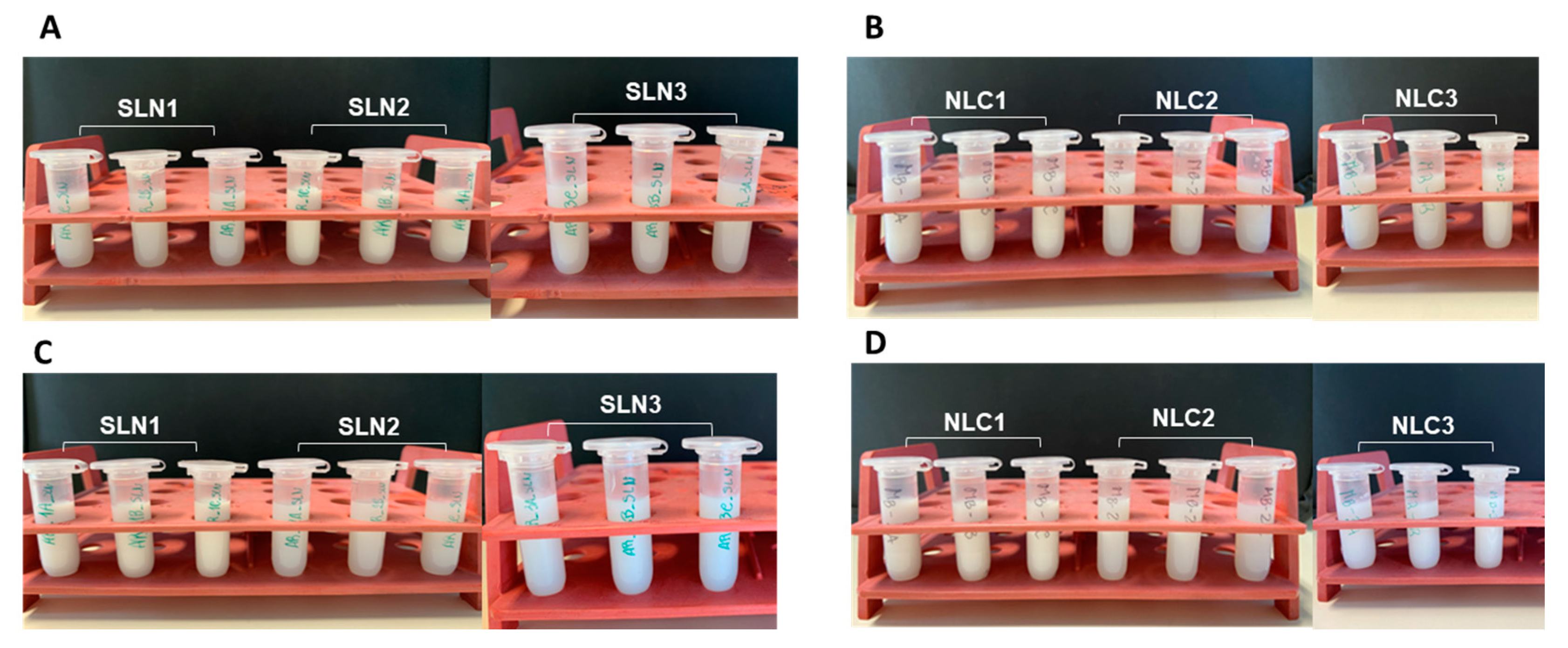 Cosmetics 10 00099 g002