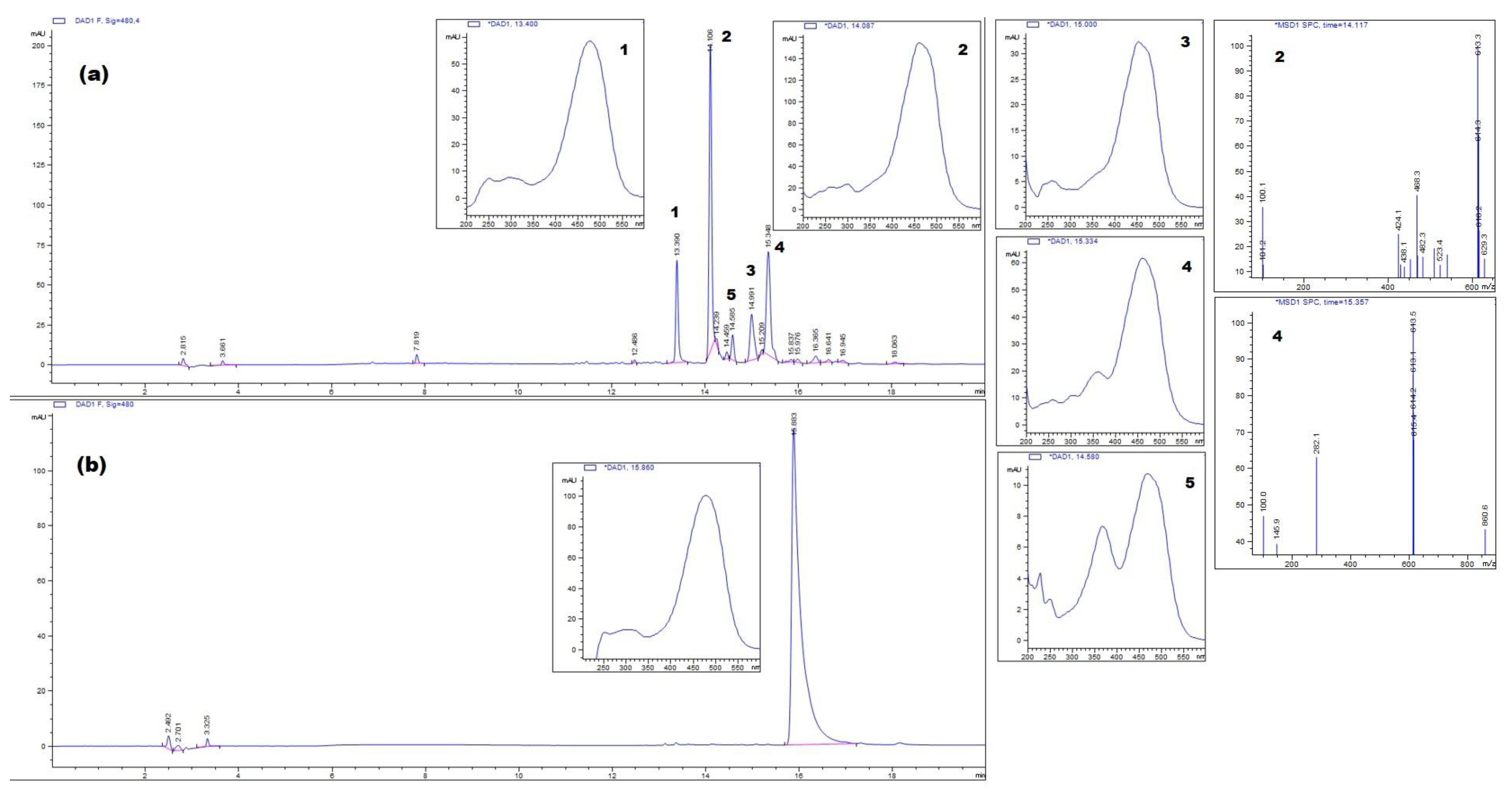Cosmetics 10 00103 g004