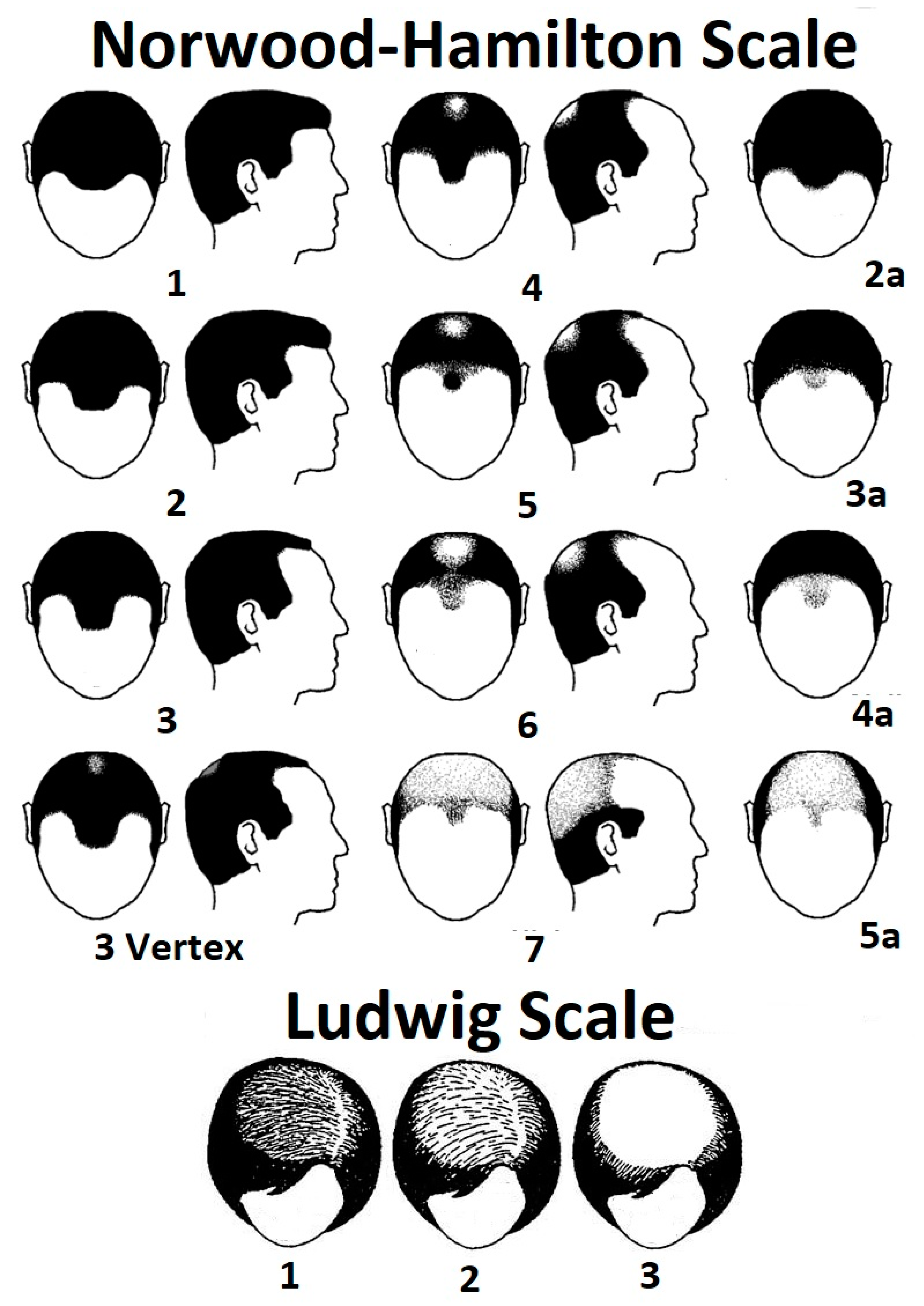 Cosmetics 10 00106 g002