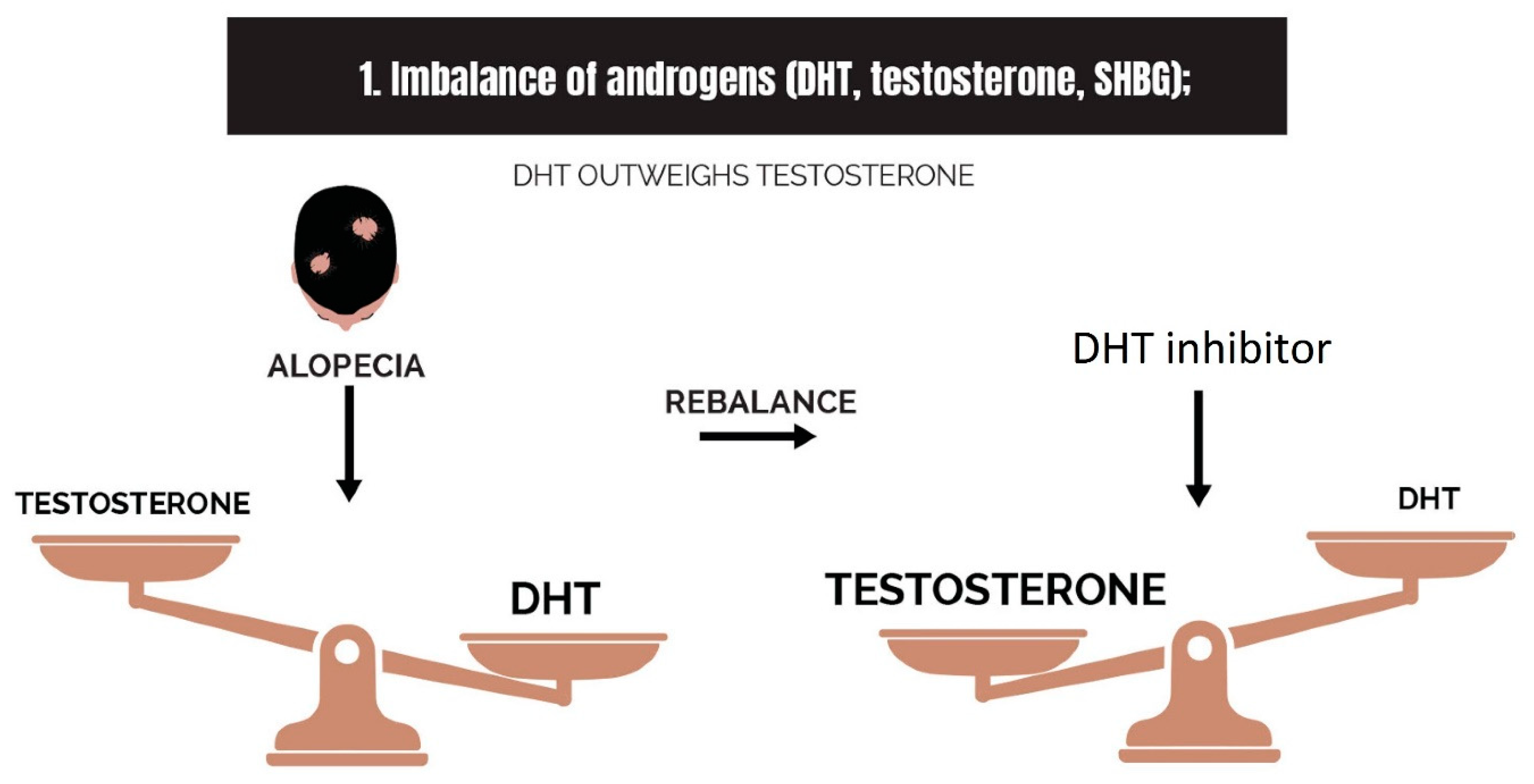 Cosmetics 10 00106 g004