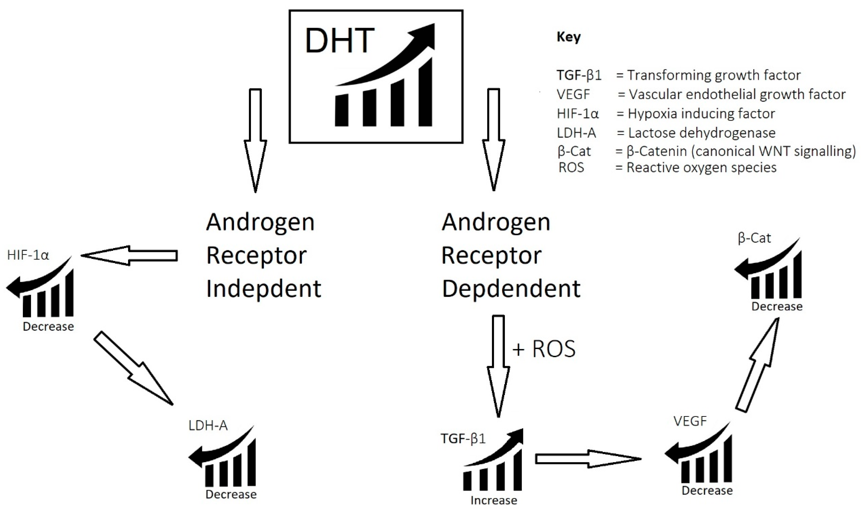 Cosmetics 10 00106 g005