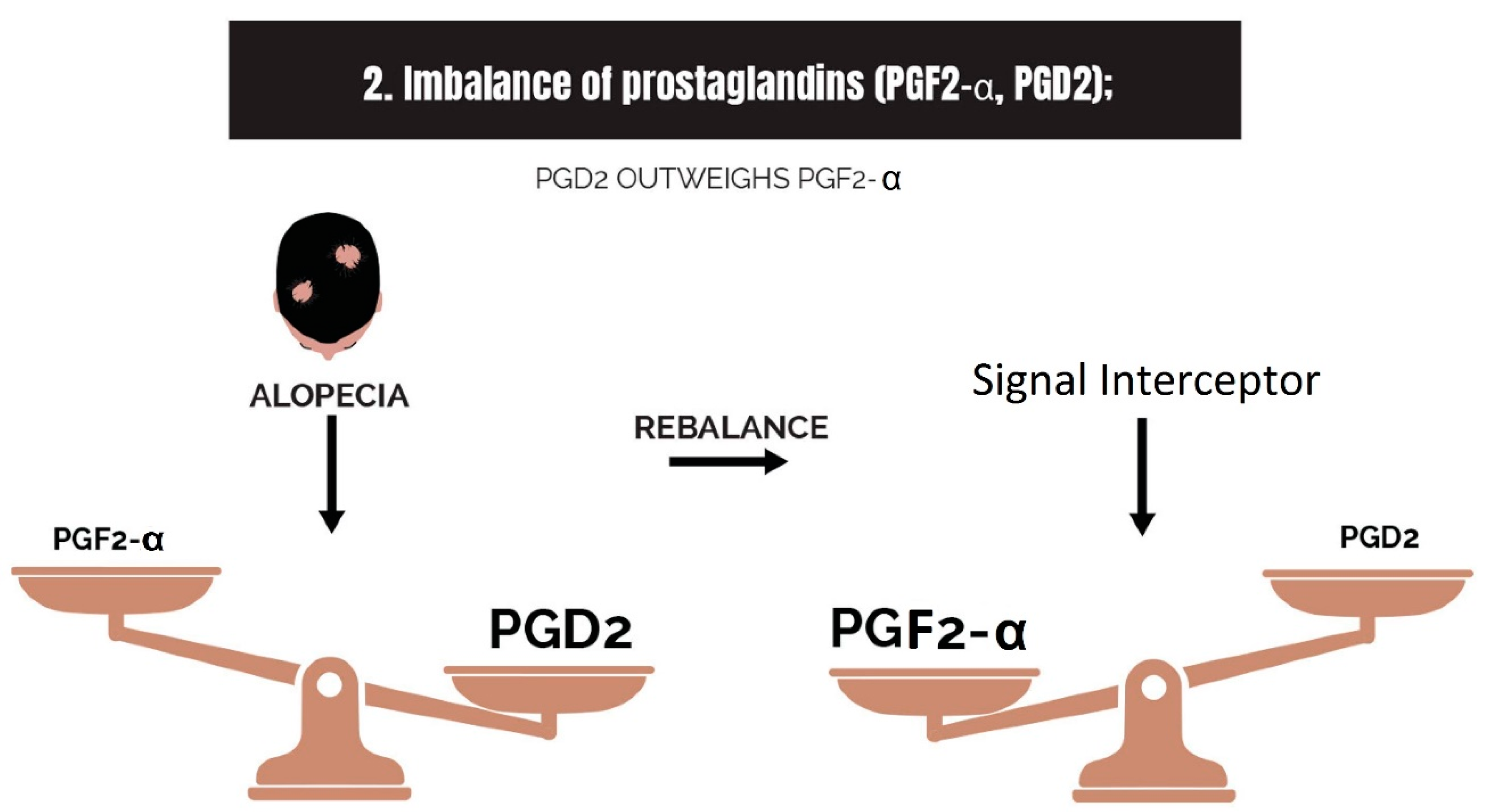 Cosmetics 10 00106 g006