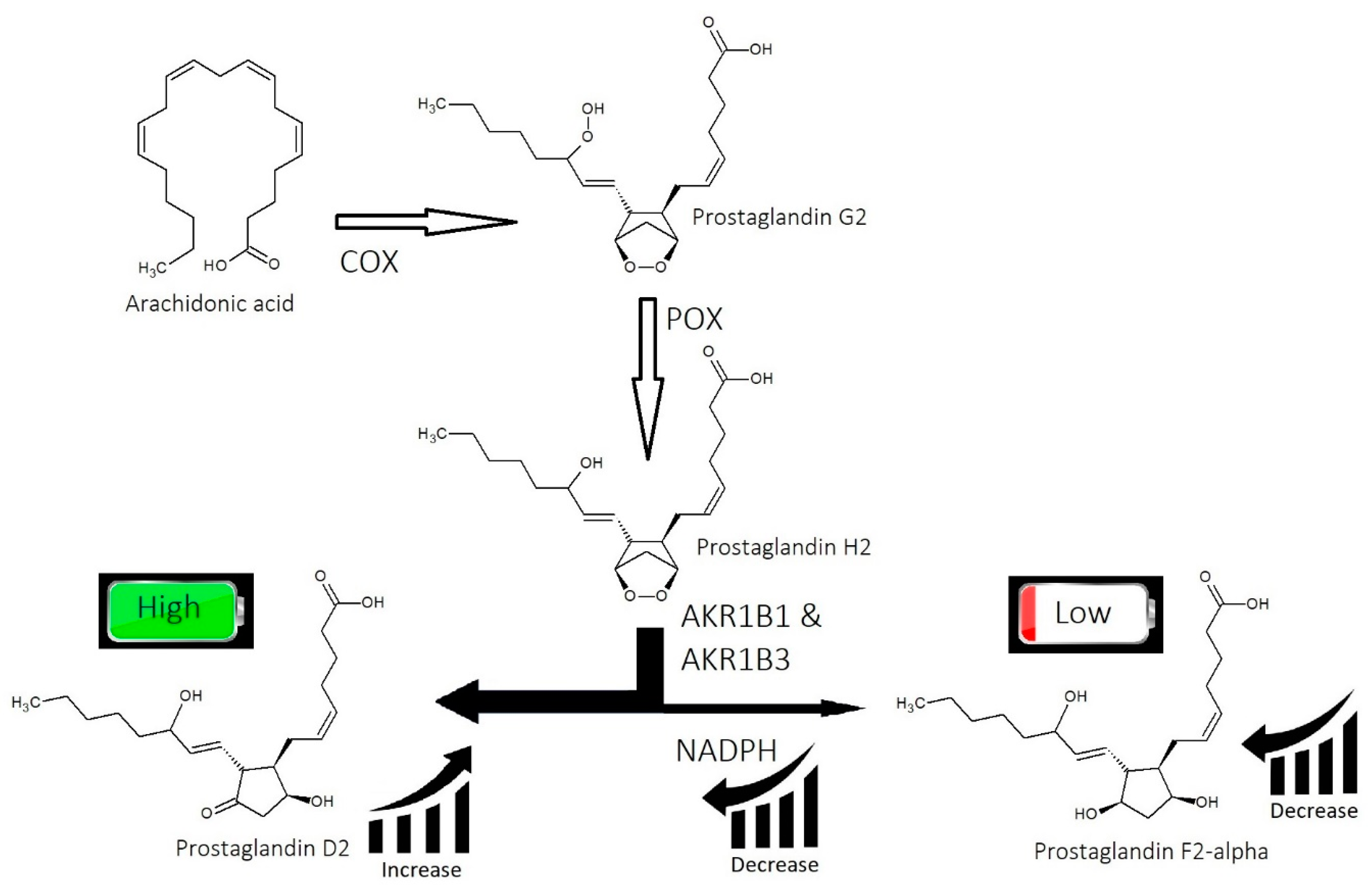 Cosmetics 10 00106 g007